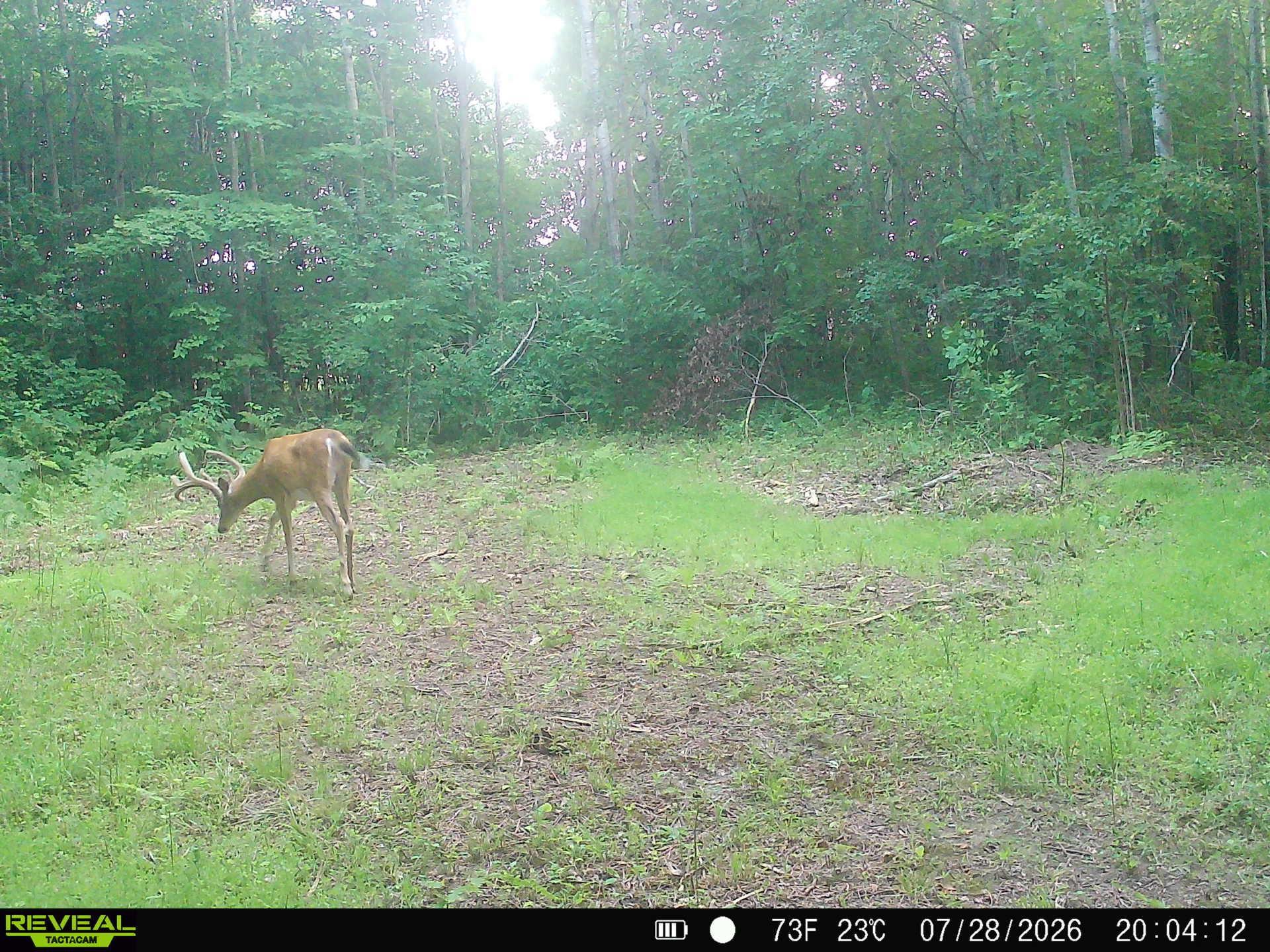 Lot 1 4th St, Clayton, WI 54004