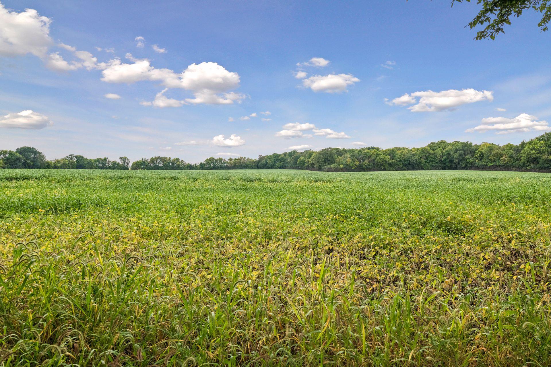 1519 Hidden Trl, Mayer, MN 55360