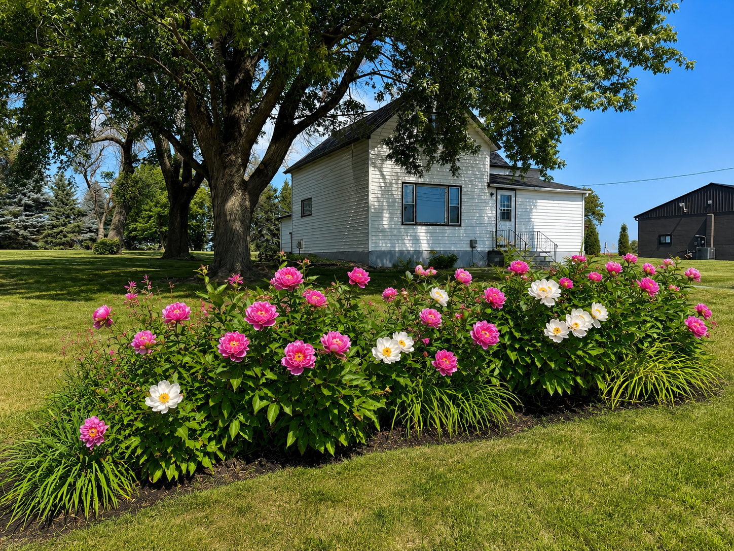 57736 370th St, Mountain Lake, MN 56159