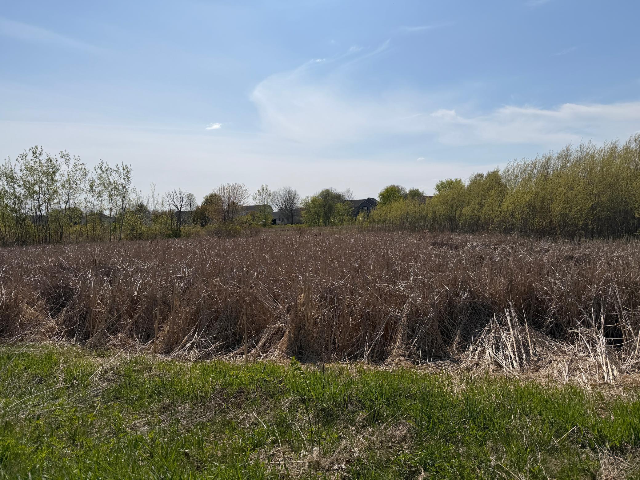 1703 Spruce St, Farmington, MN 55024