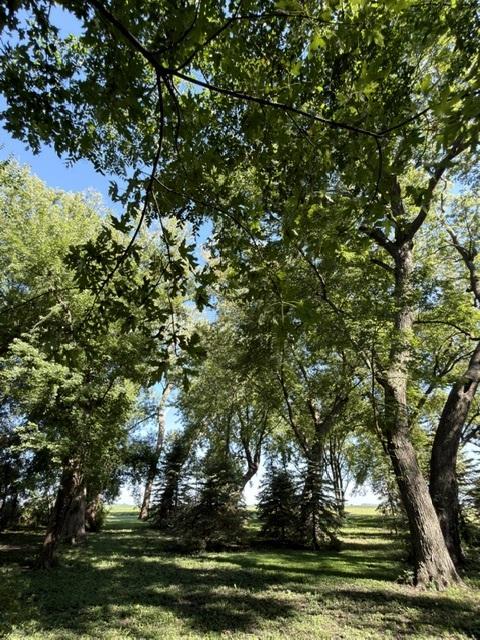 54299 910 St, Windom, MN 56101