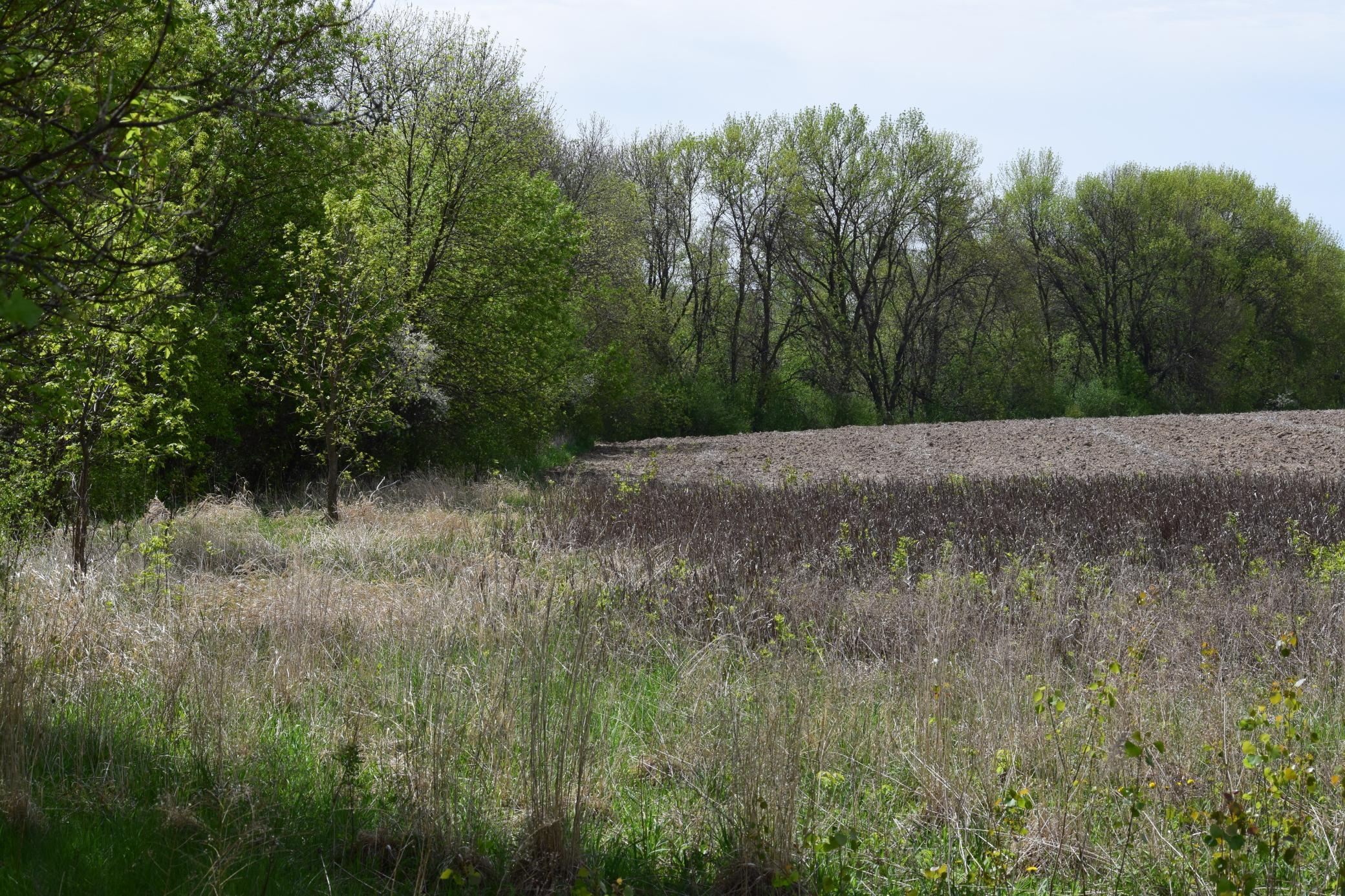 1405 Hamel Rd, Medina, MN 55340