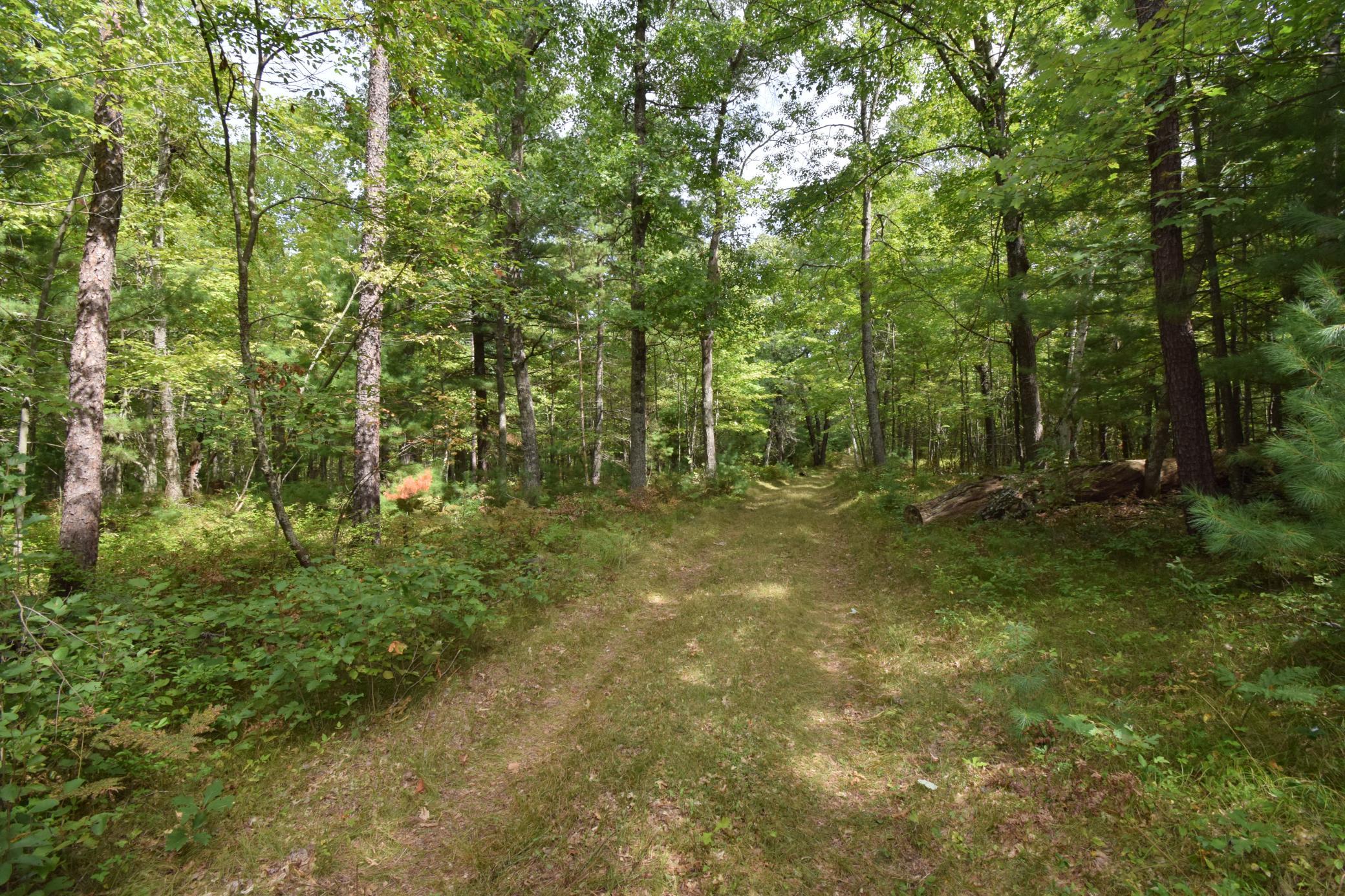 28206 Pardun Rd, Danbury, WI 54830