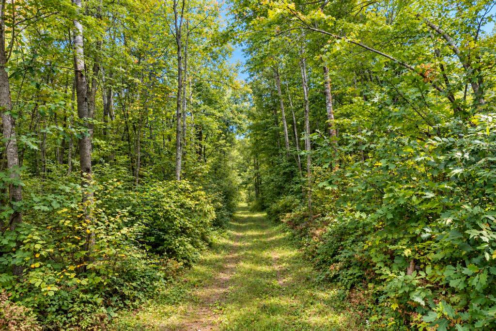 TBD 76th St SW, Pequot Lakes, MN 56472