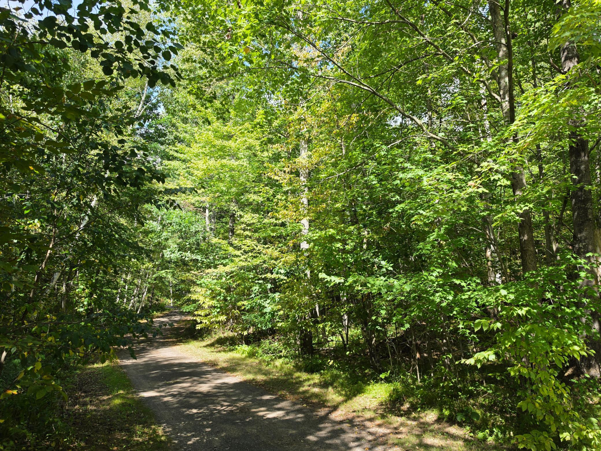 7183 Fremsted Rd, Danbury, WI 54830