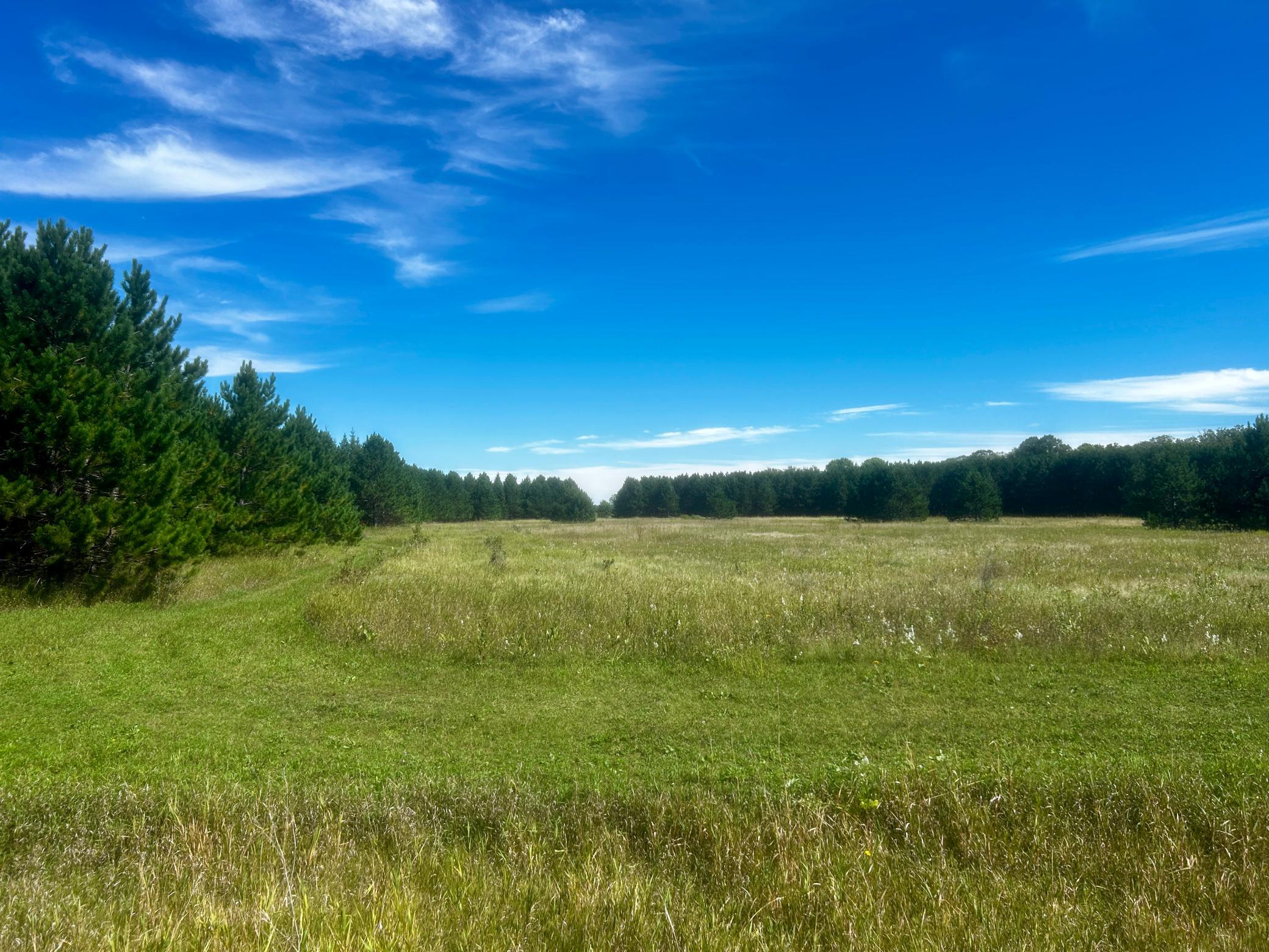 TBD 560th, New York Mills, MN 56567