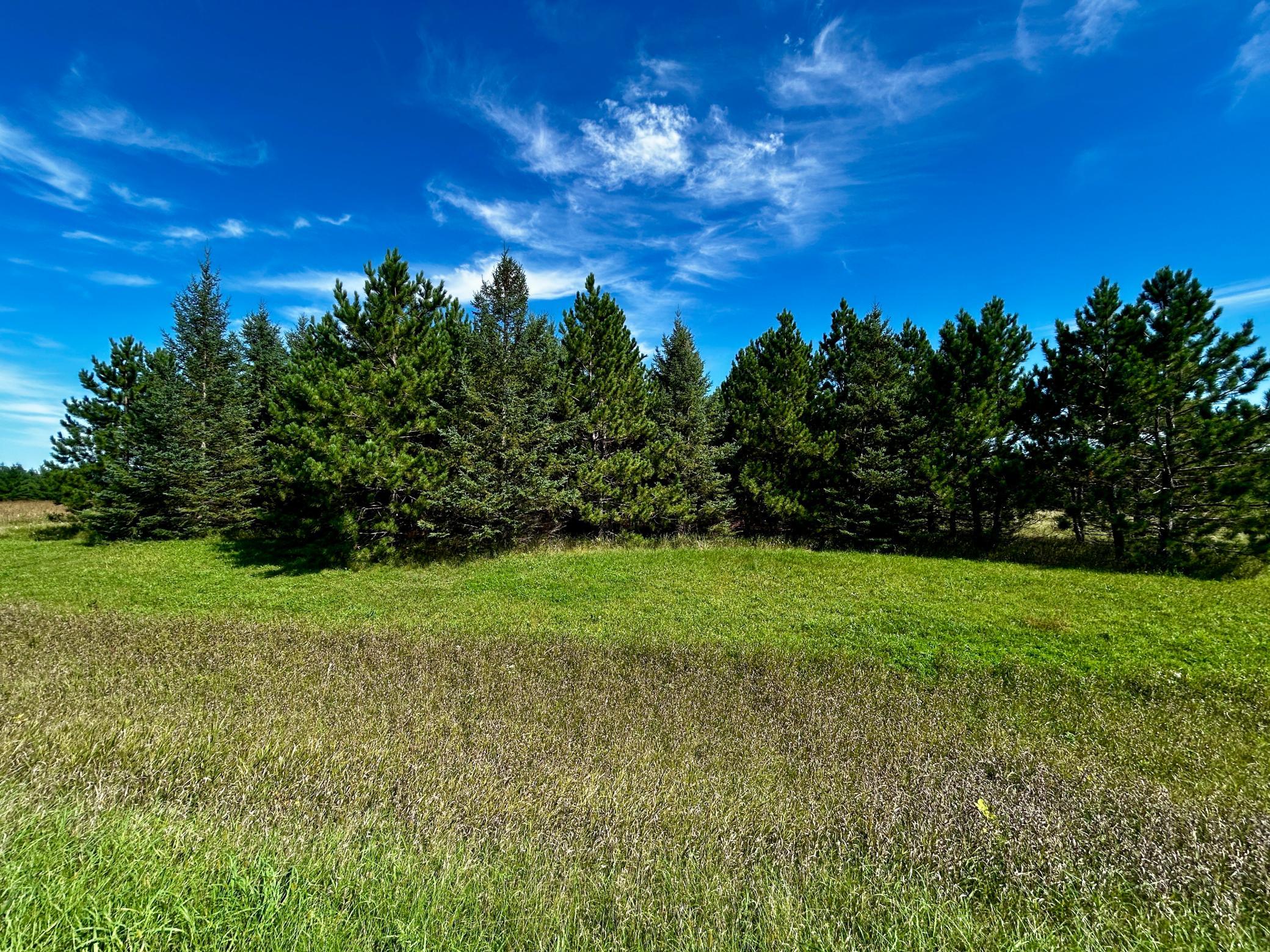 TBD 560th, New York Mills, MN 56567
