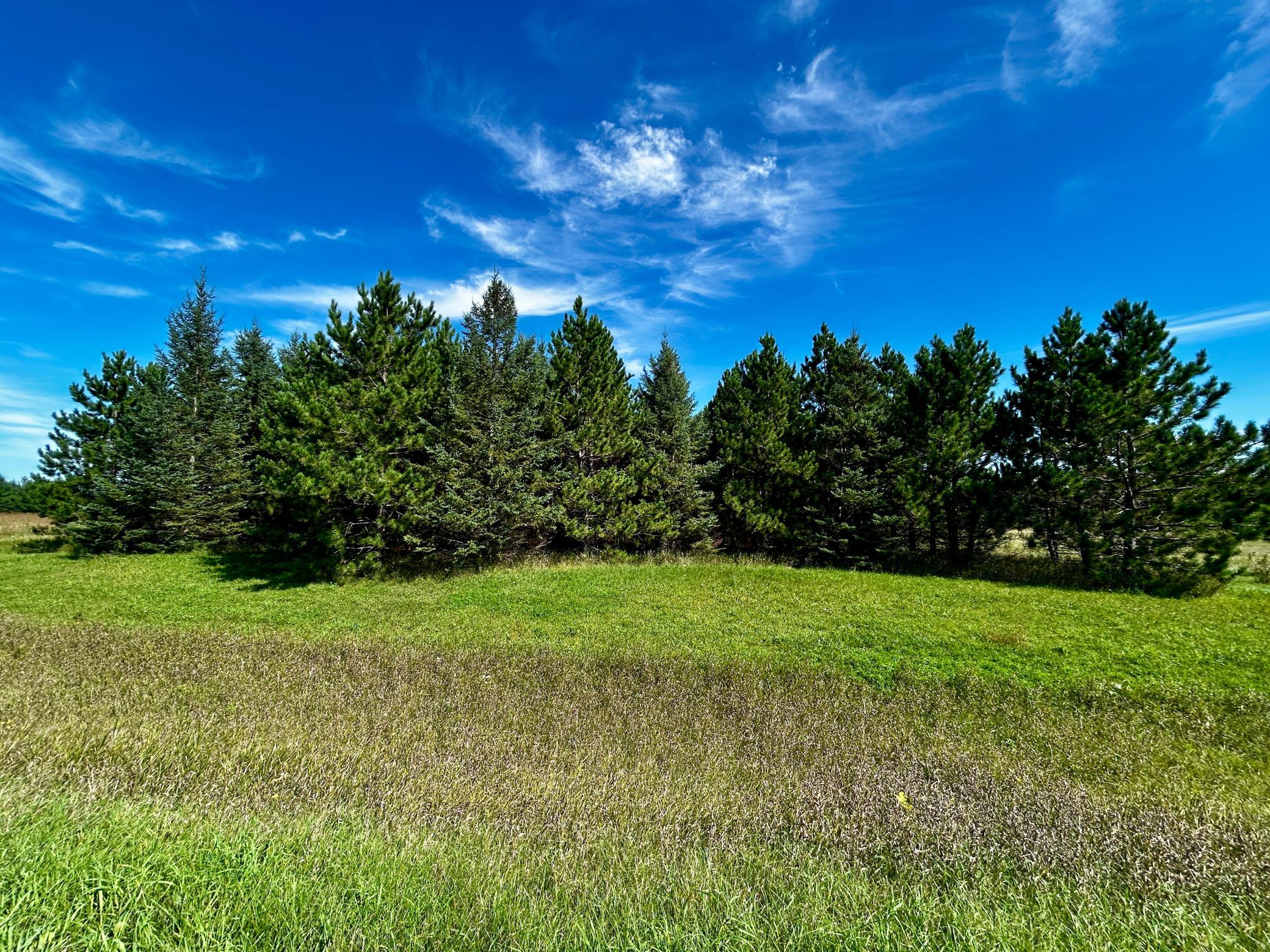 TBD 560th, New York Mills, MN 56567
