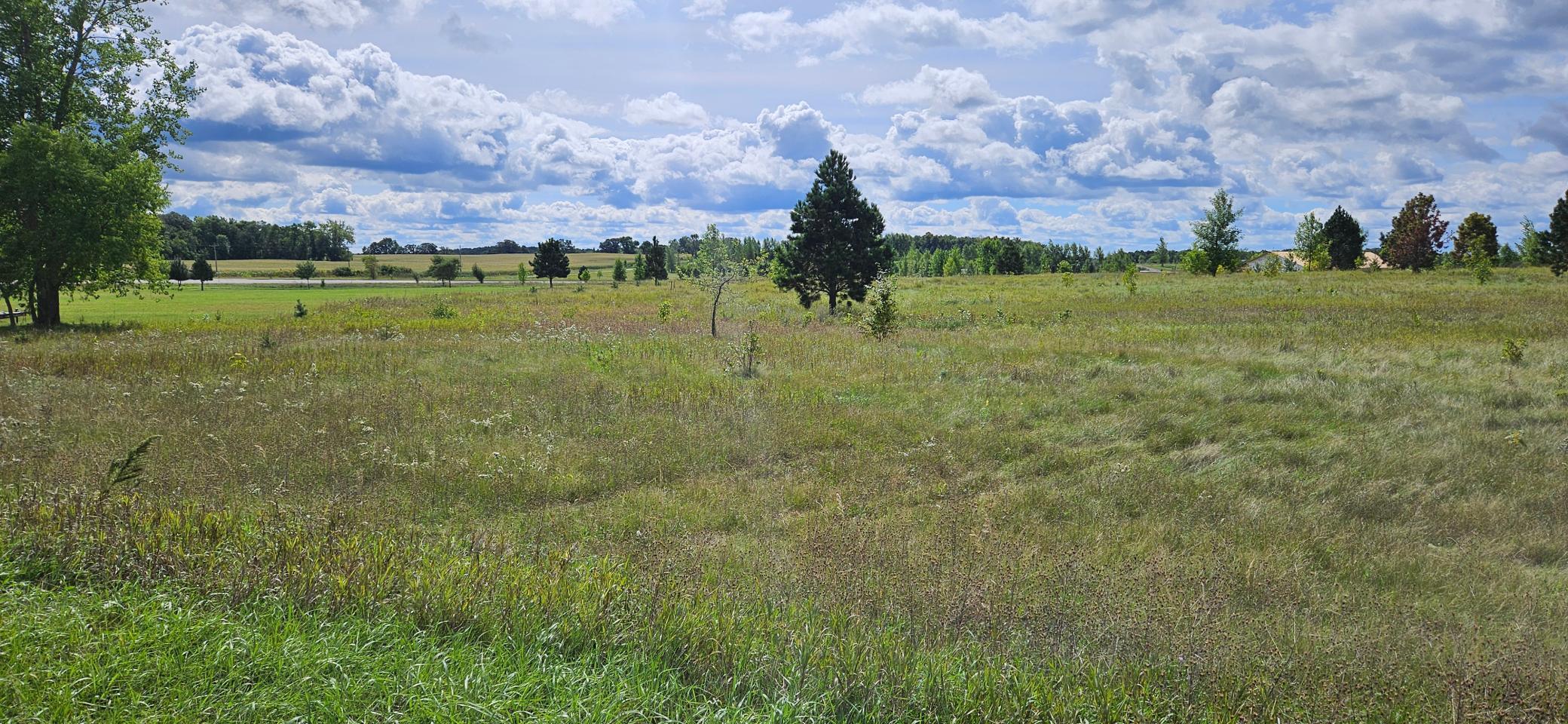 tbd 394th St, Perham, MN 56573