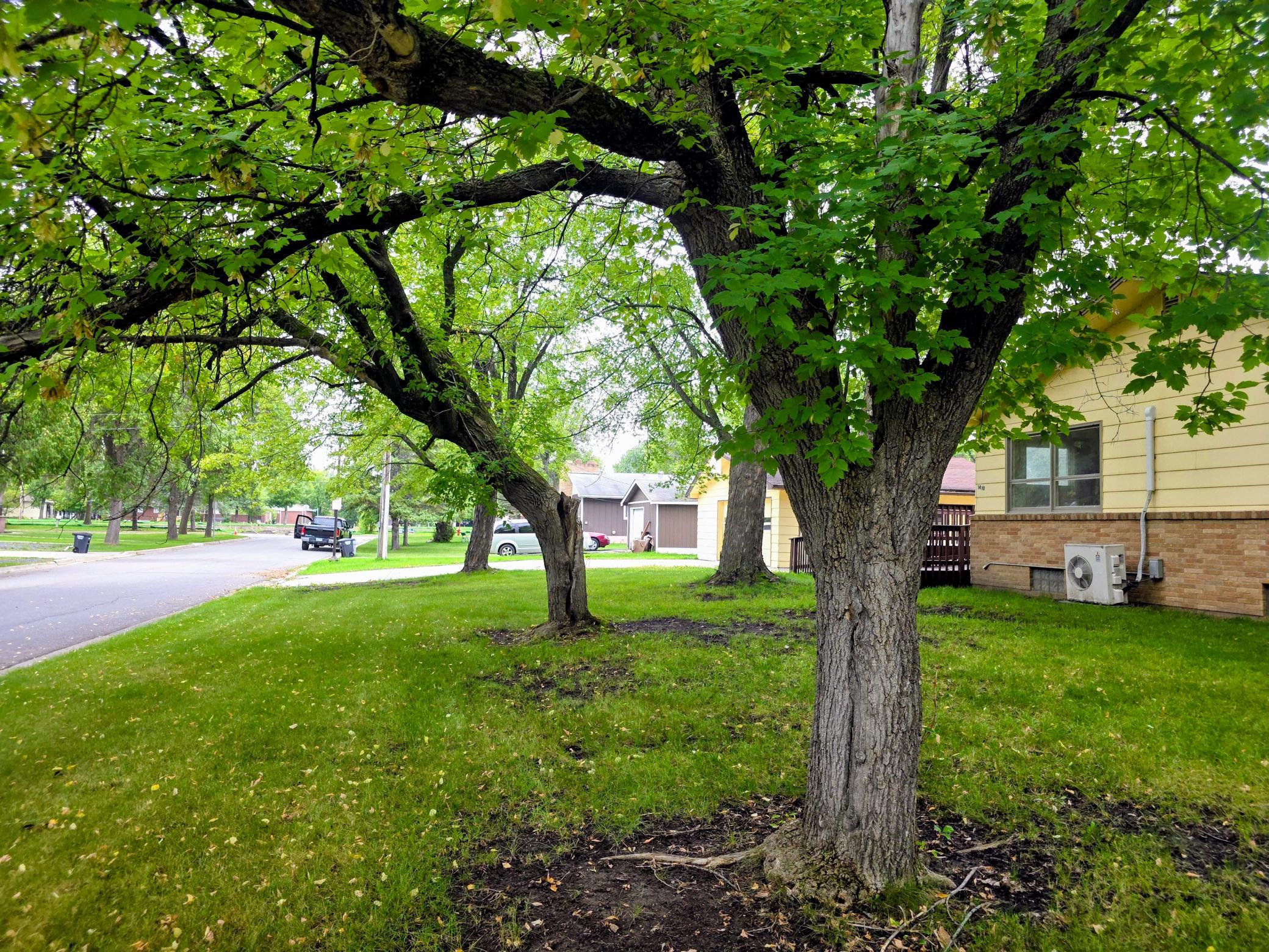 1410 Home Ln, International Falls, MN 56649
