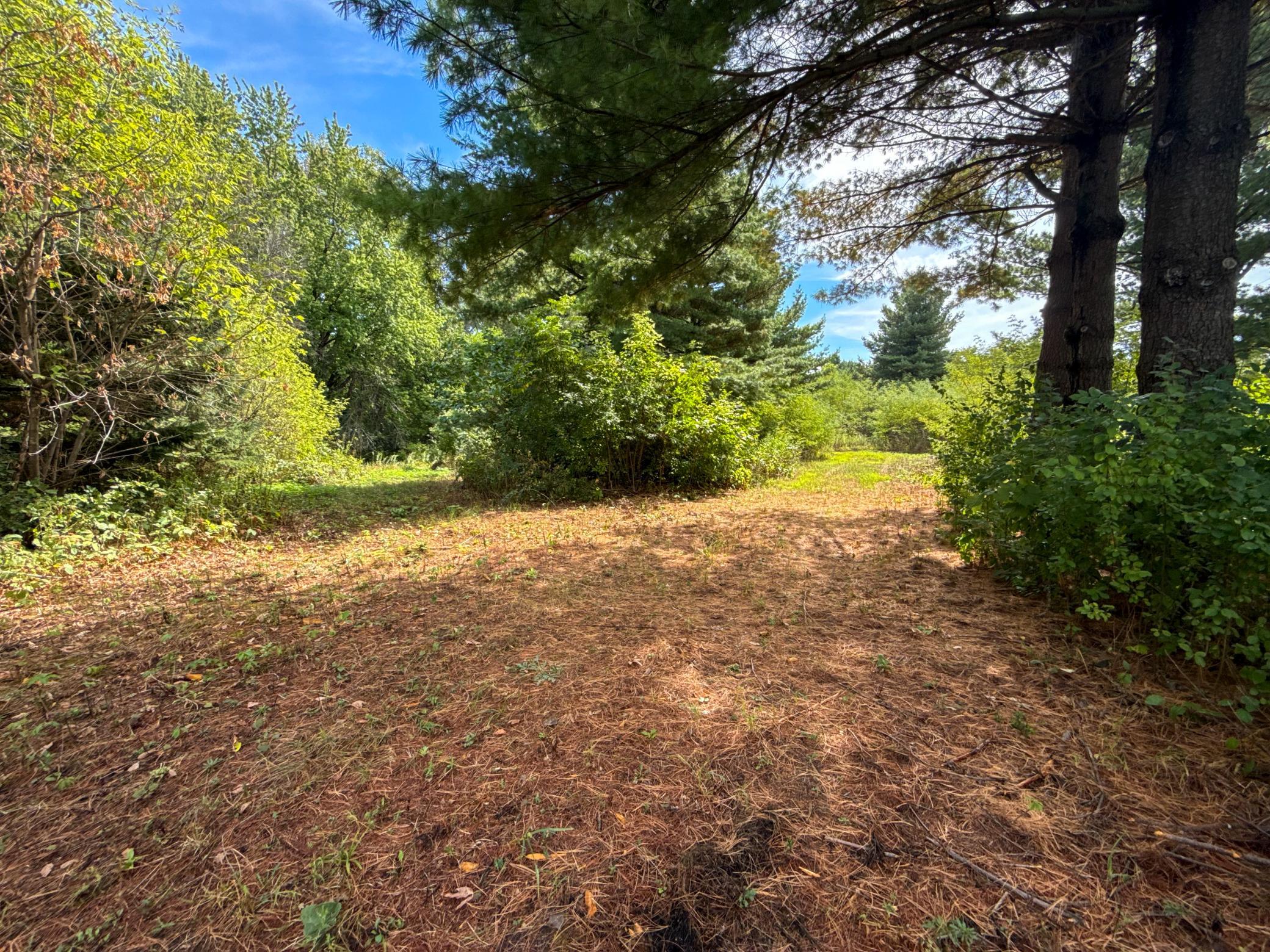 16868 Ravenna Trl, Hastings, MN 55033