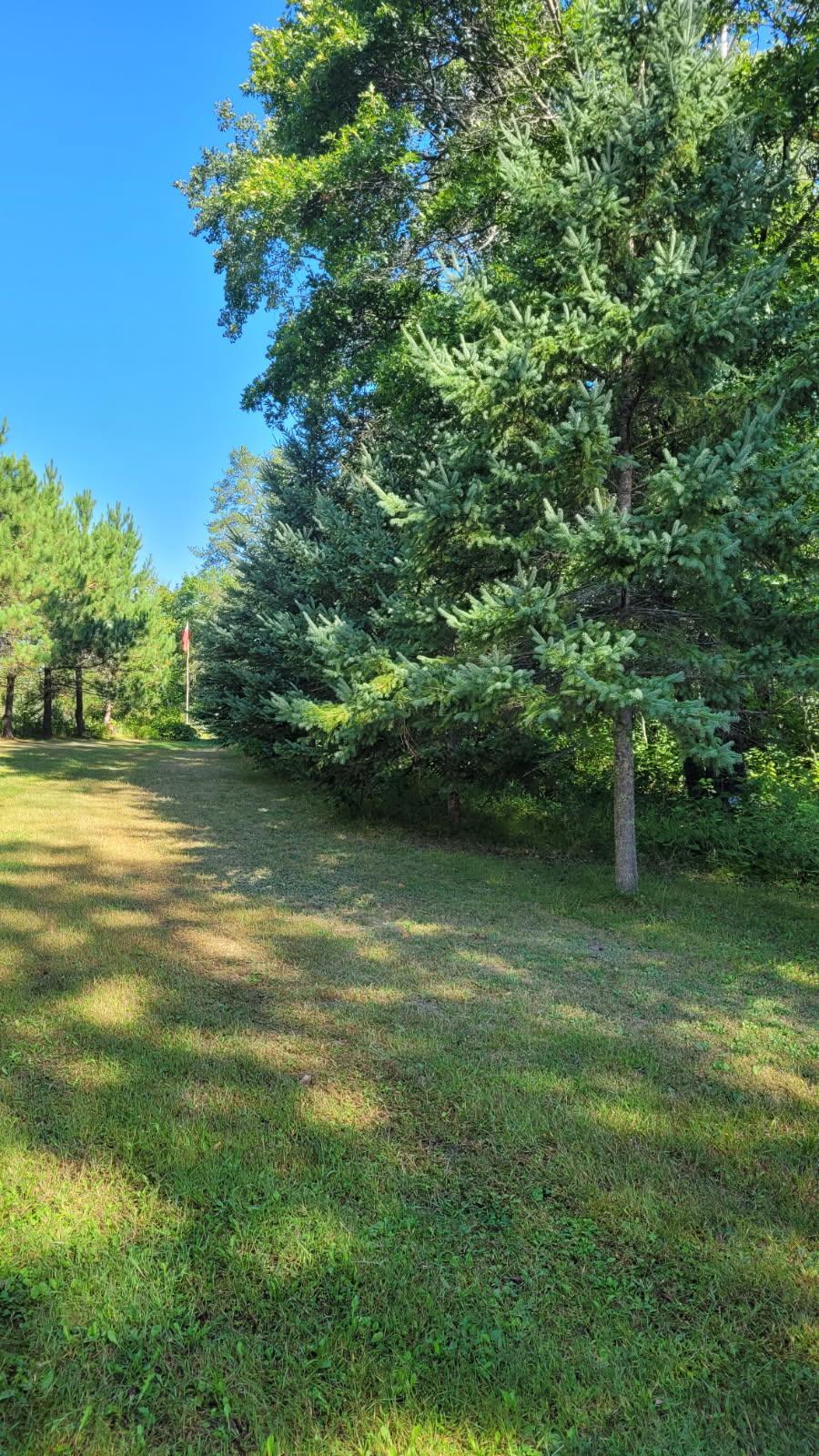1393 Cottonwood Trl SW, Pine River, MN 56474