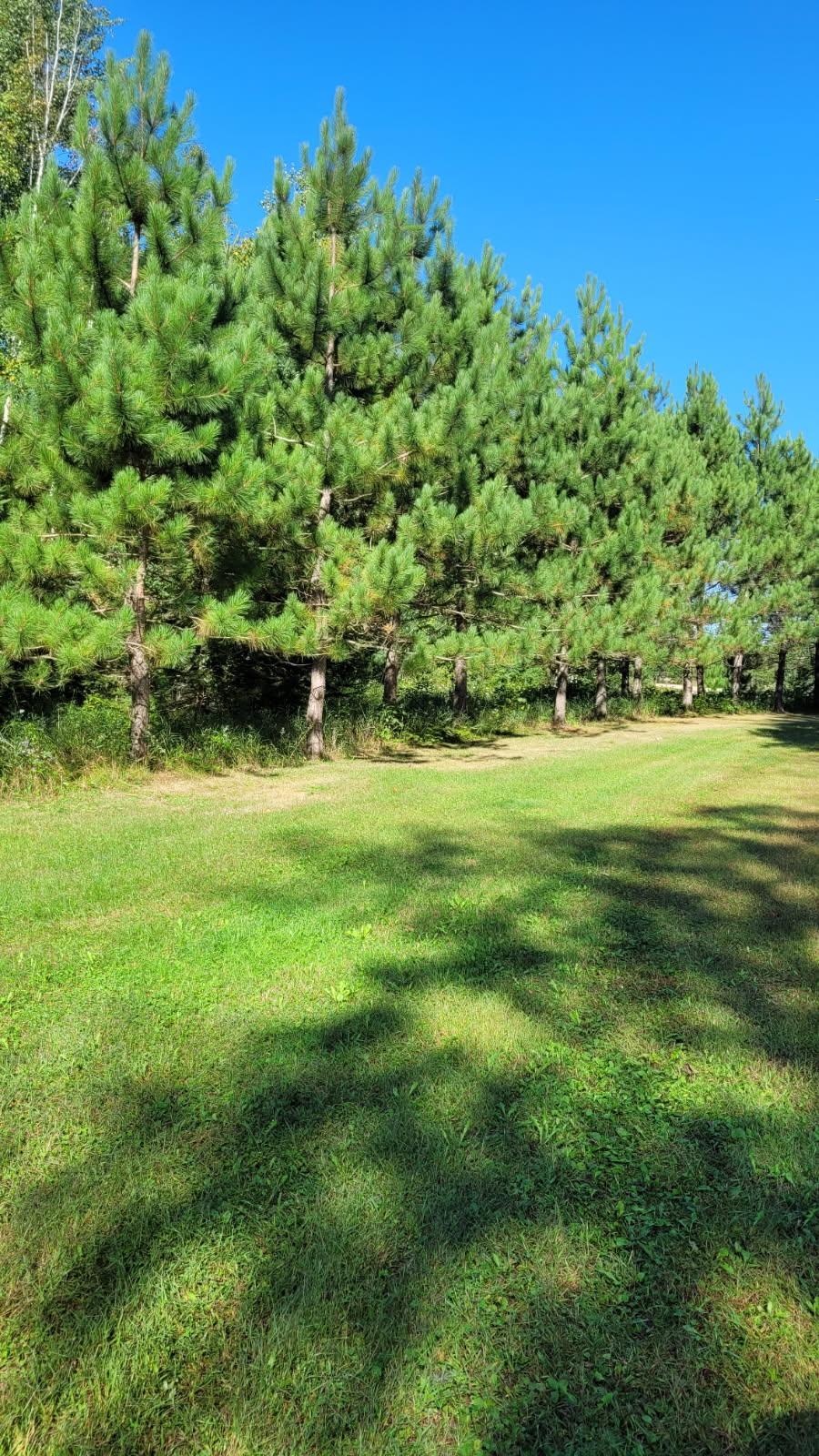 1393 Cottonwood Trl SW, Pine River, MN 56474