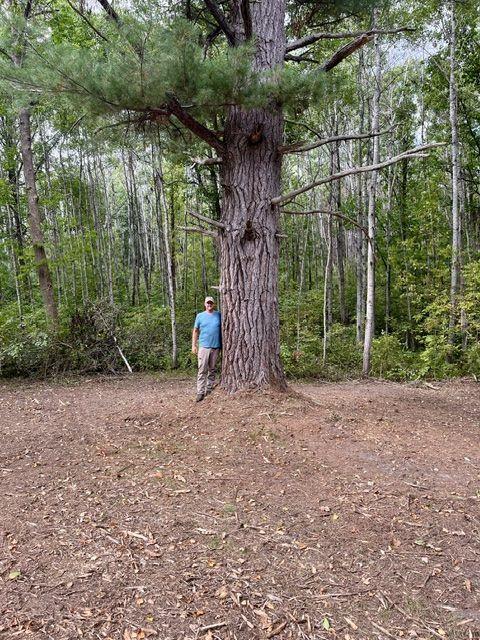 Lot 17 New Melahn Dr, Lake George, MN 56458