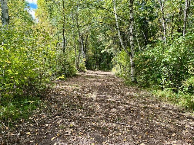 Lot 17 New Melahn Dr, Lake George, MN 56458