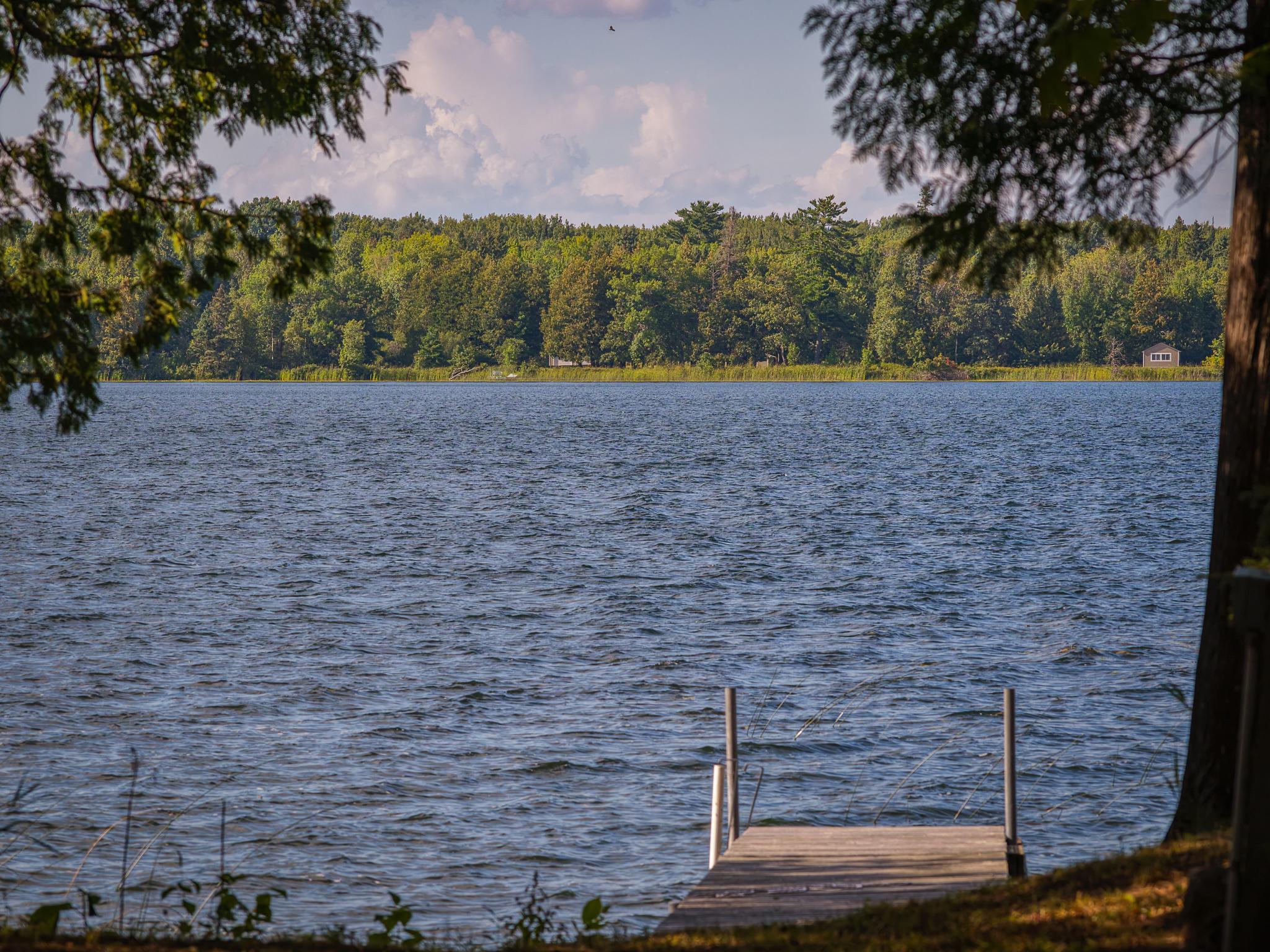 29453 Timberwolf Rd NE, Pennington, MN 56663