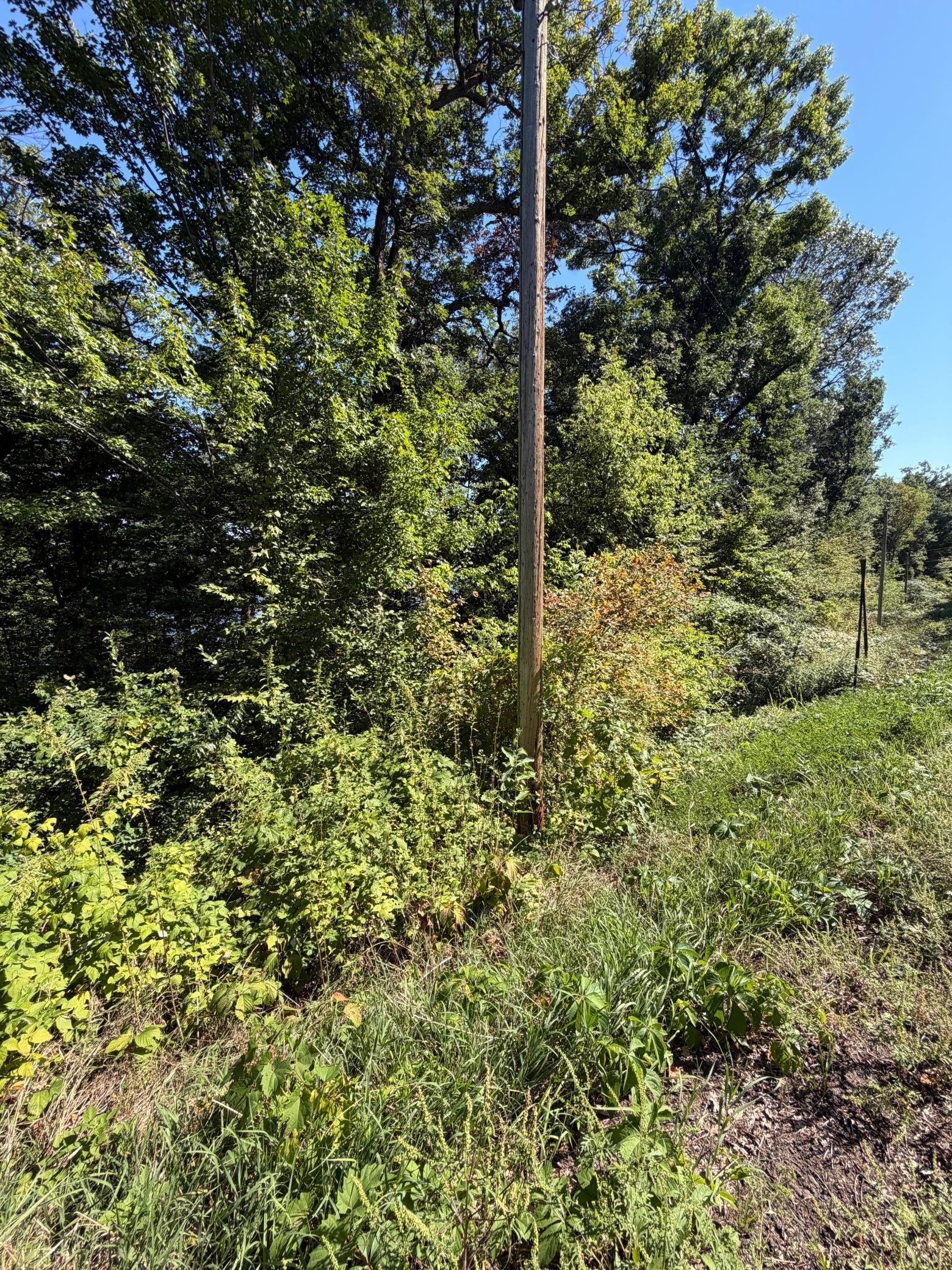 TBD 101st St, Zimmerman, MN 55398