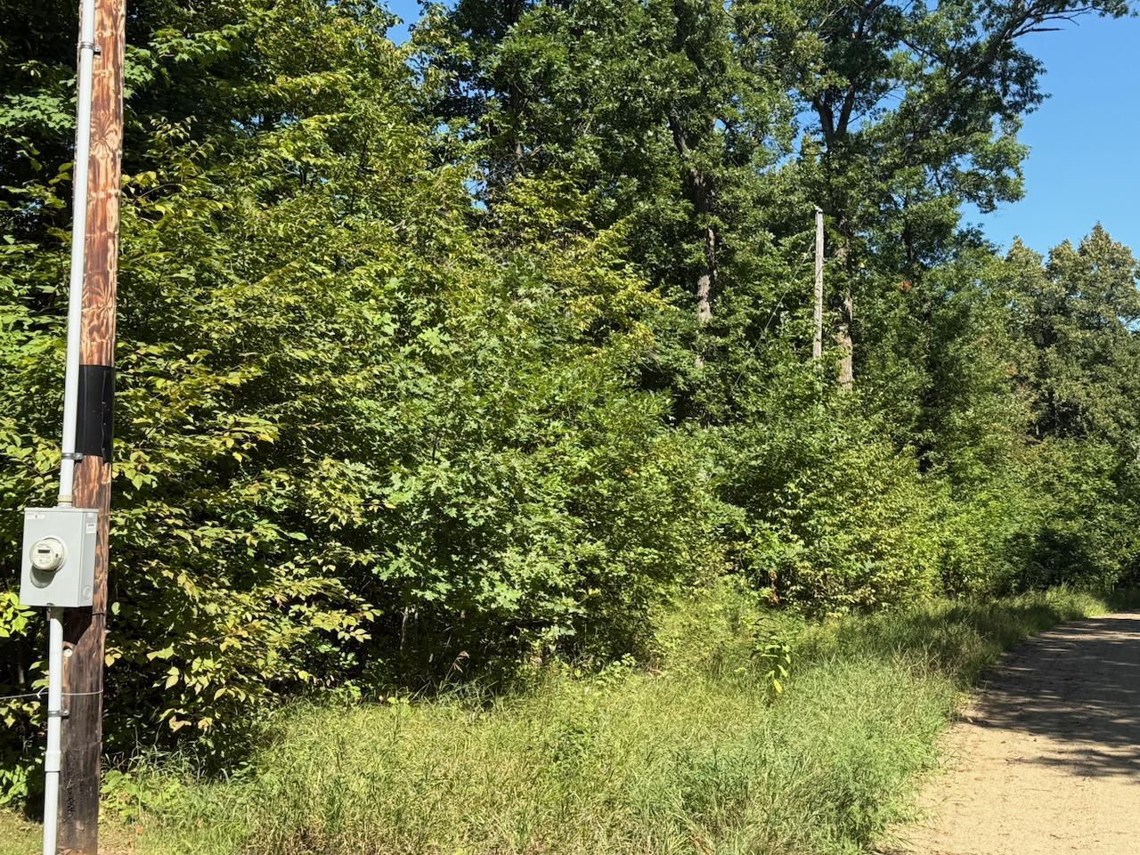4XYZ Pinewood Ct, Browerville, MN 56438