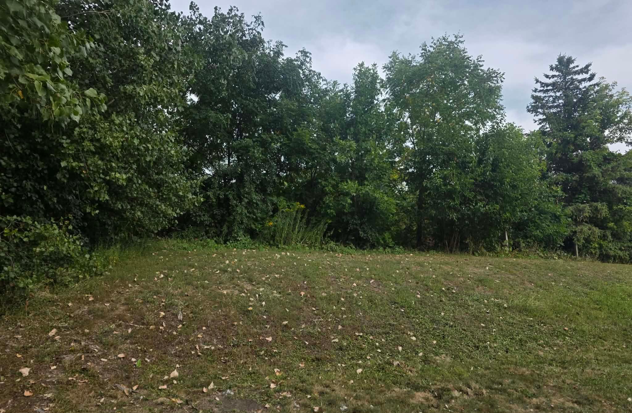1515 Bender Rd, Chaska, MN 55318