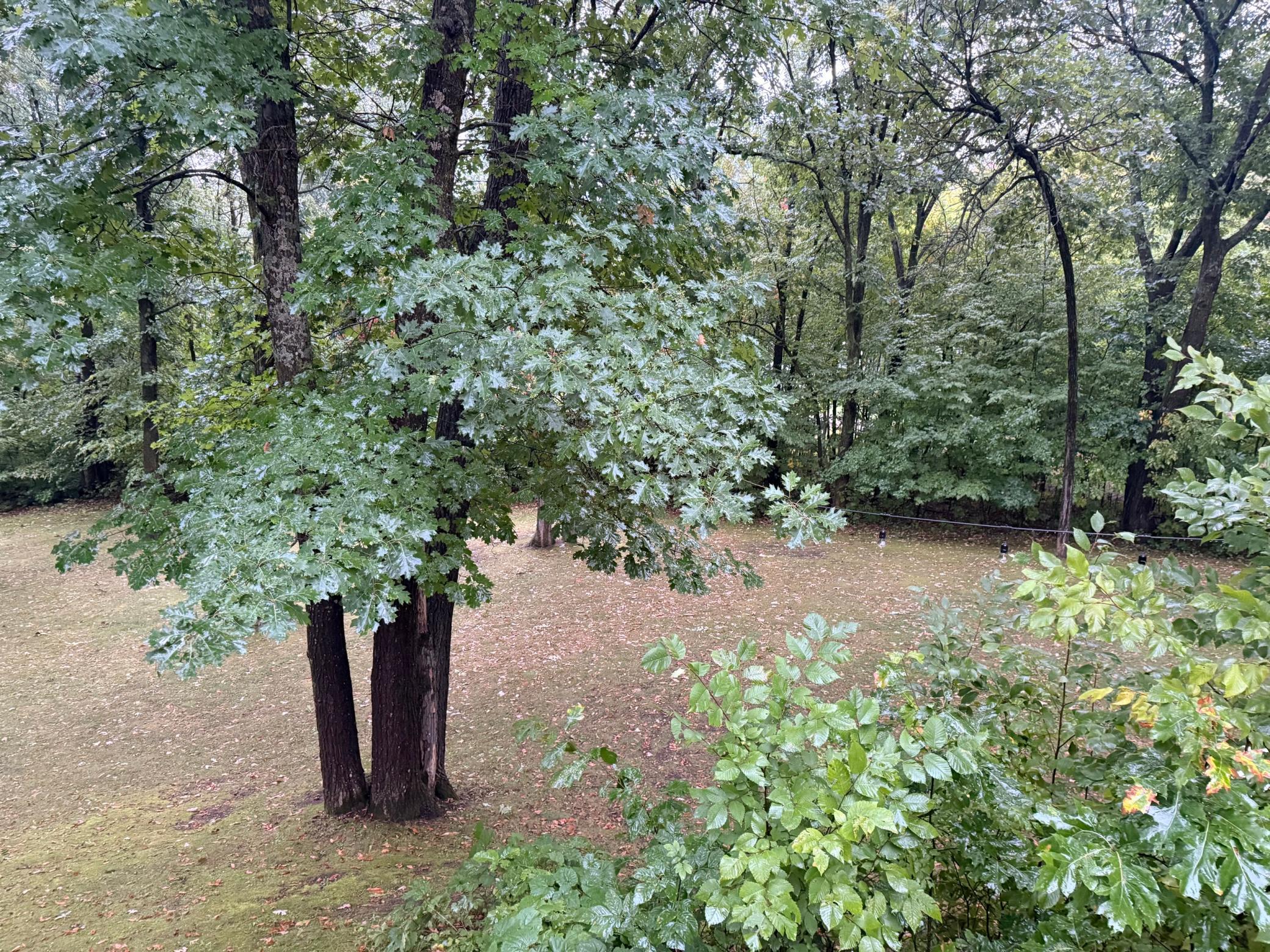 12590 Carow Cir, Frazee, MN 56544