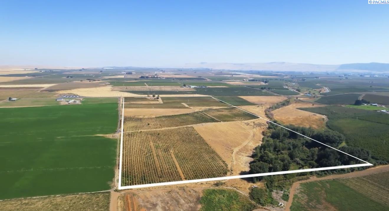 54402 N Hinzerling Rd, Prosser, WA 99350