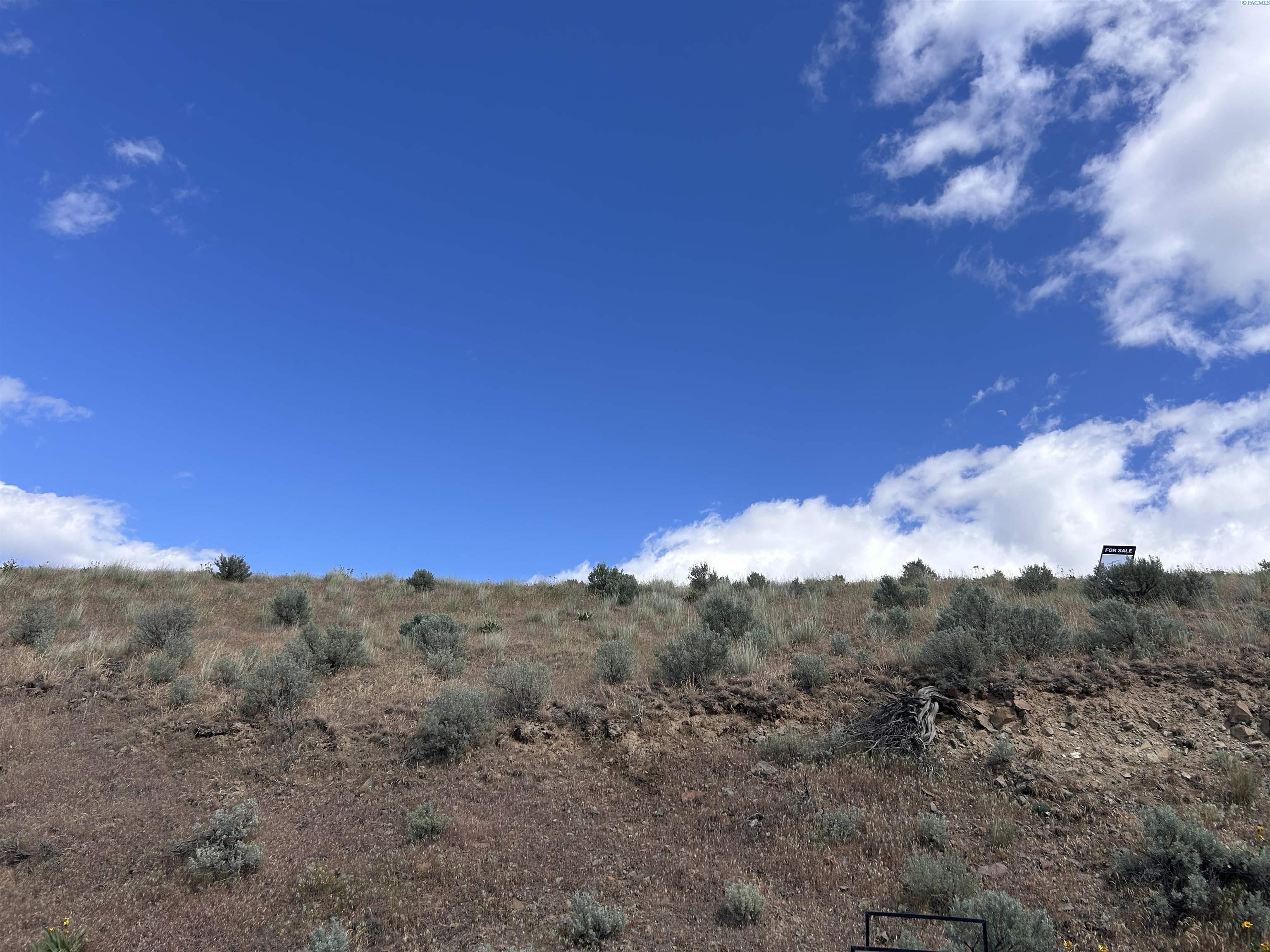 TBD S Lincoln Grade Rd, Prosser, WA 99350