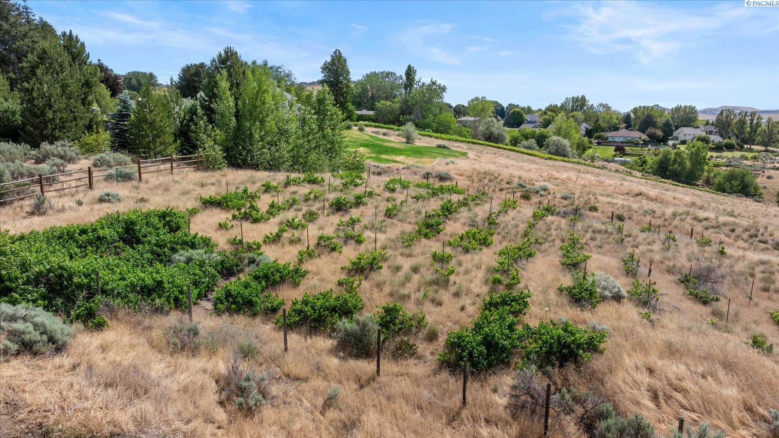 505 S Agua Mansa Ct, Kennewick, WA 99338
