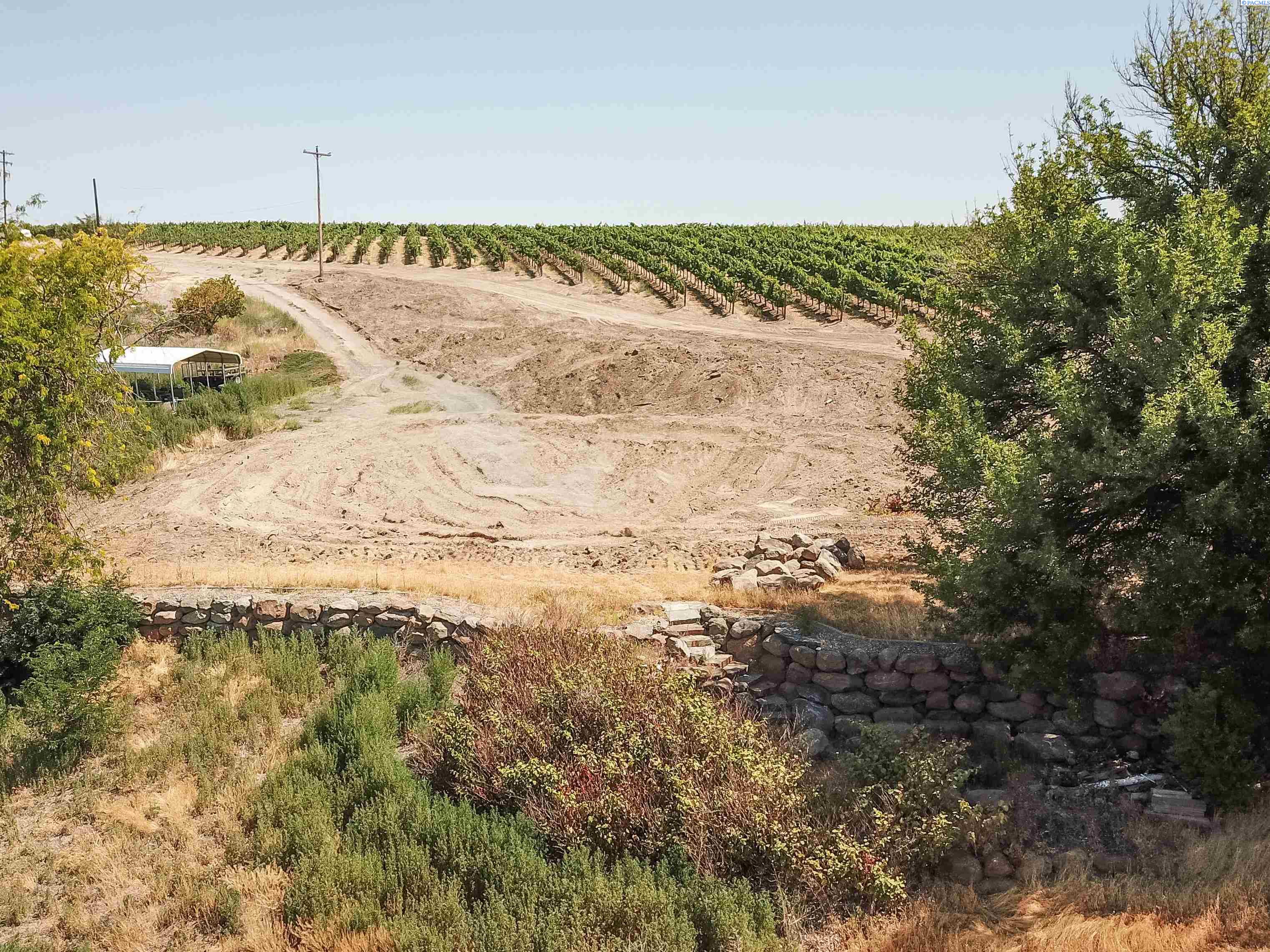 90209 W Hanks Rd, Prosser, WA 99350