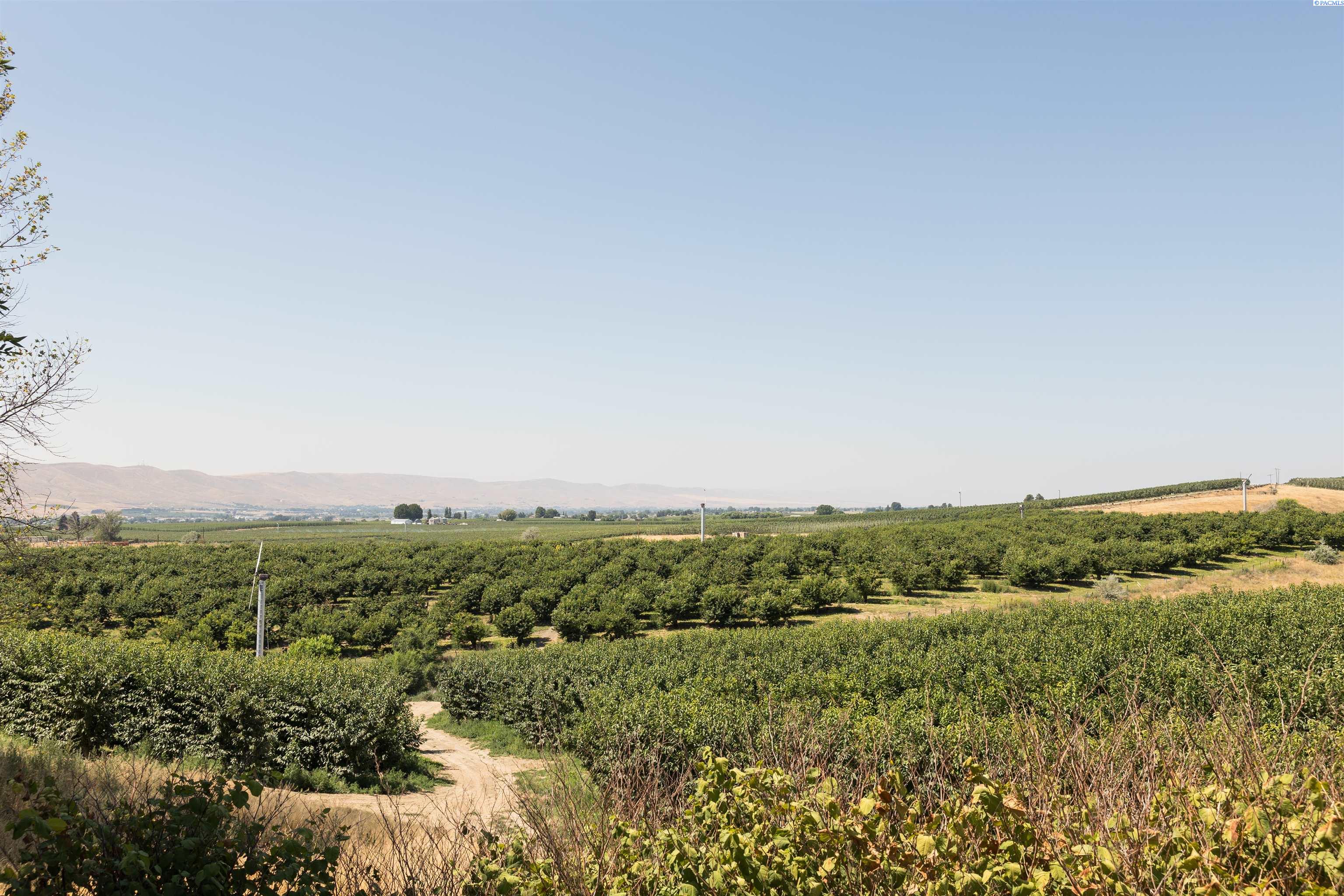 90209 W Hanks Rd, Prosser, WA 99350