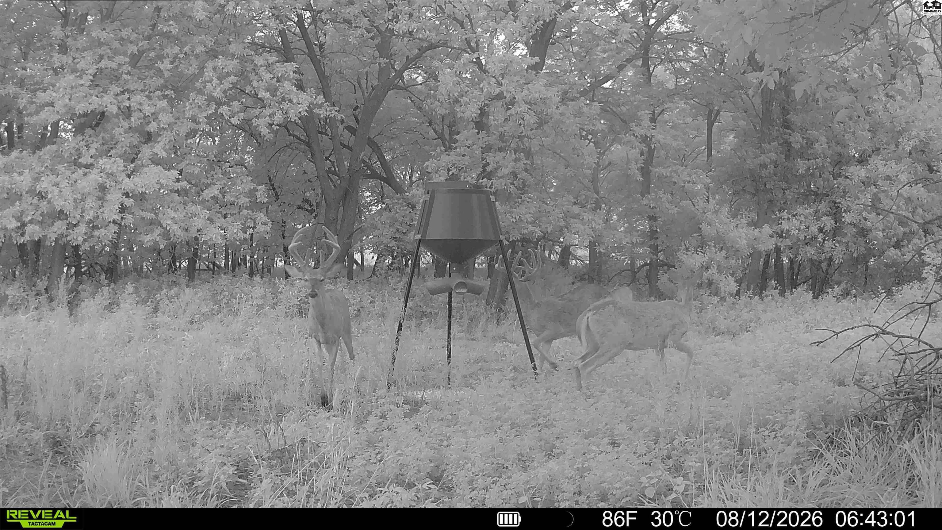 000 E Deer Dr, Tescott, KS 67423