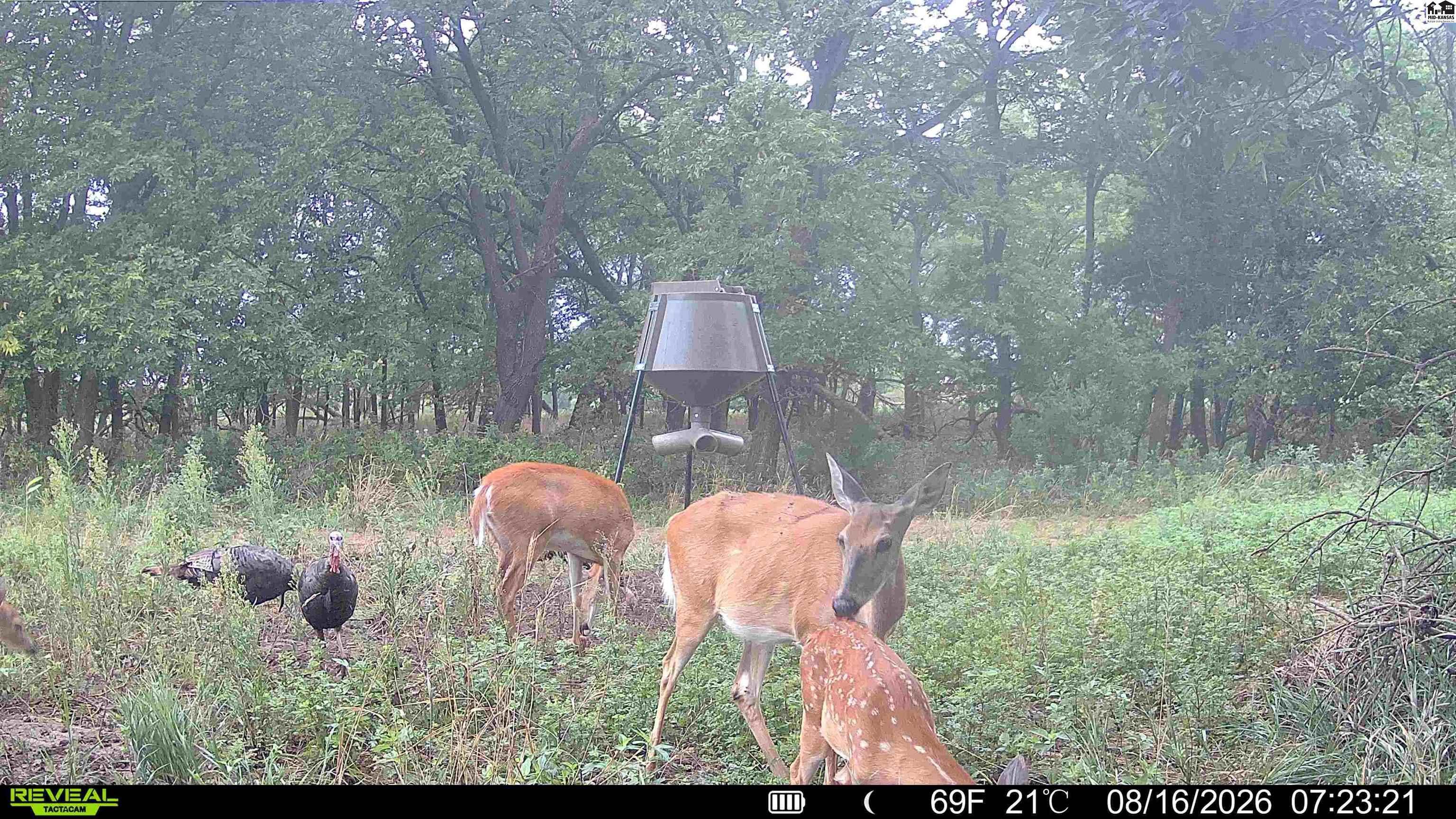 000 E Deer Dr, Tescott, KS 67423
