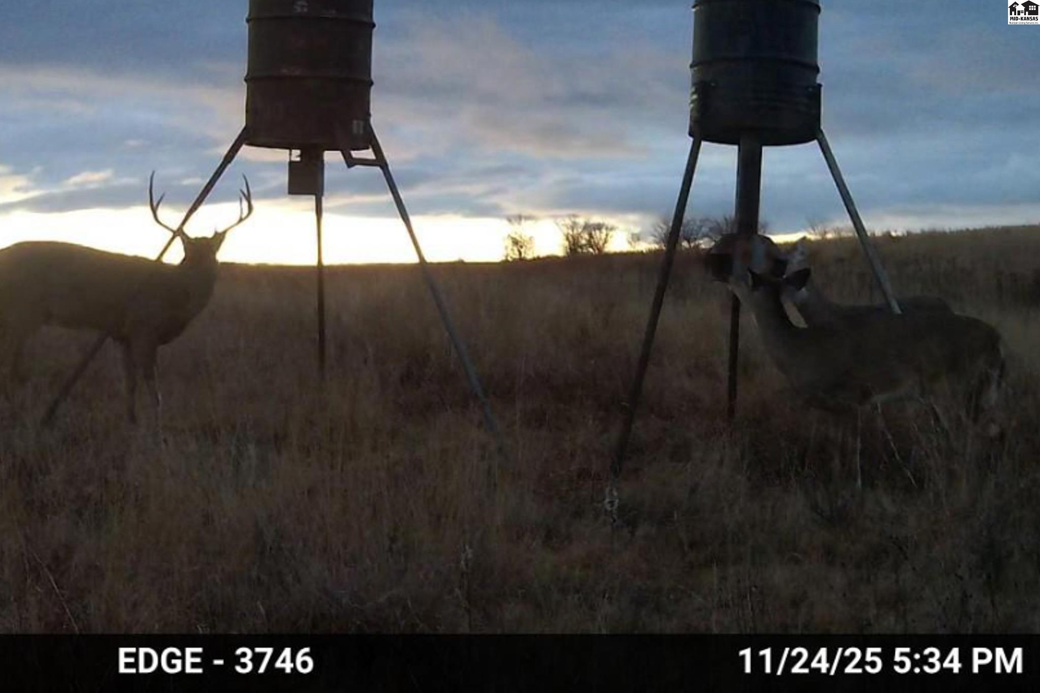 0000 N County Rd, Coldwater, KS 67029