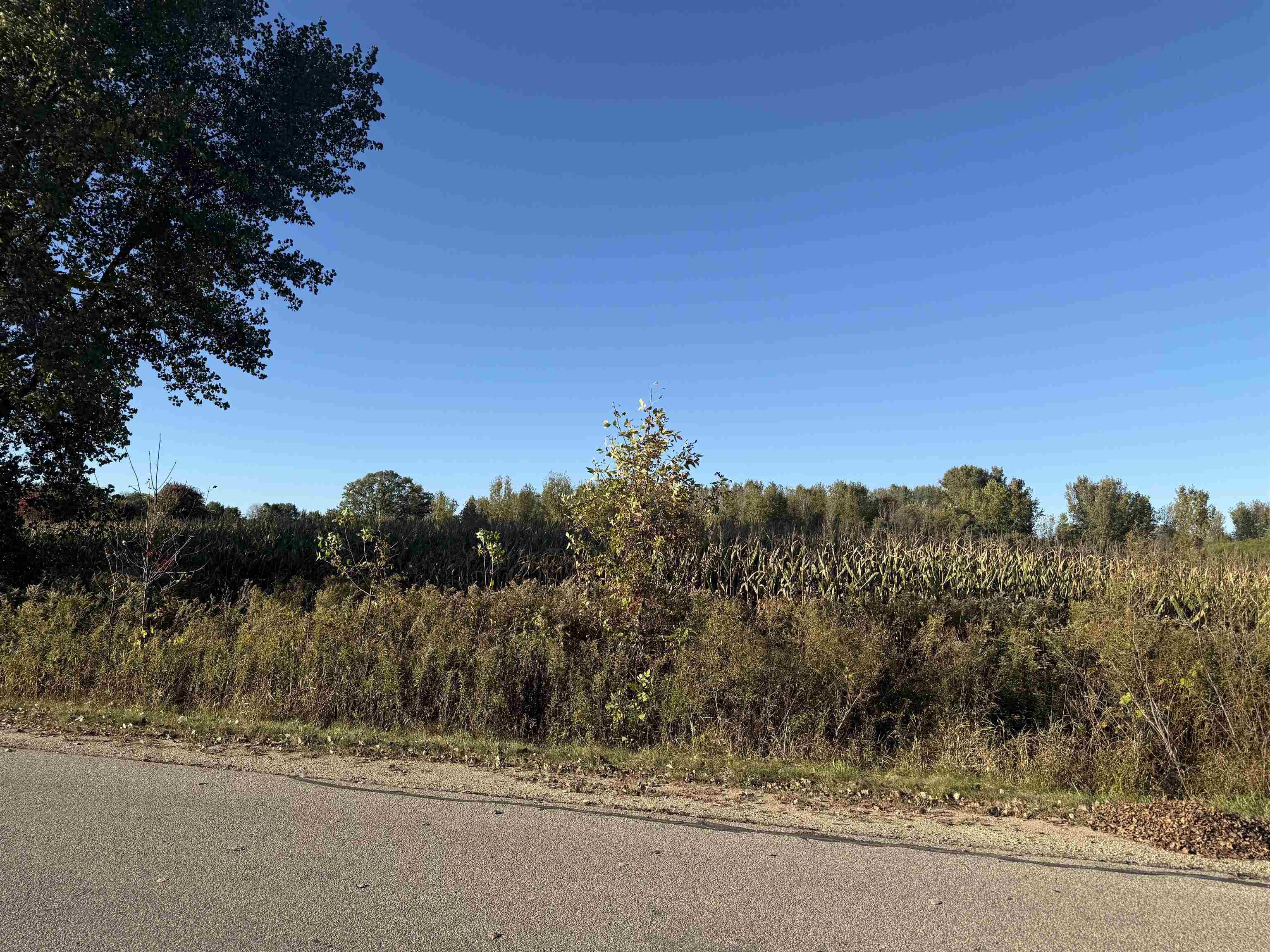 Willow Wood St #11, Shawano, WI 54929-0000