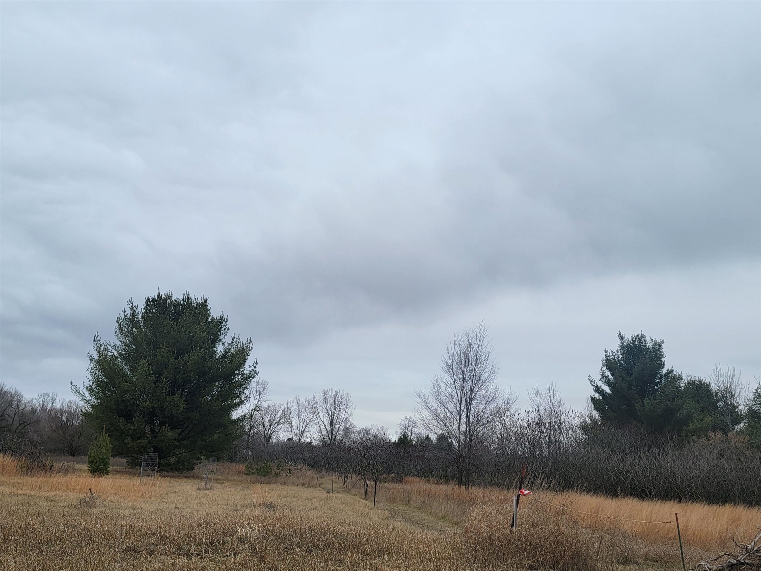 Sheridan St #2, Oconto Falls, WI 54154