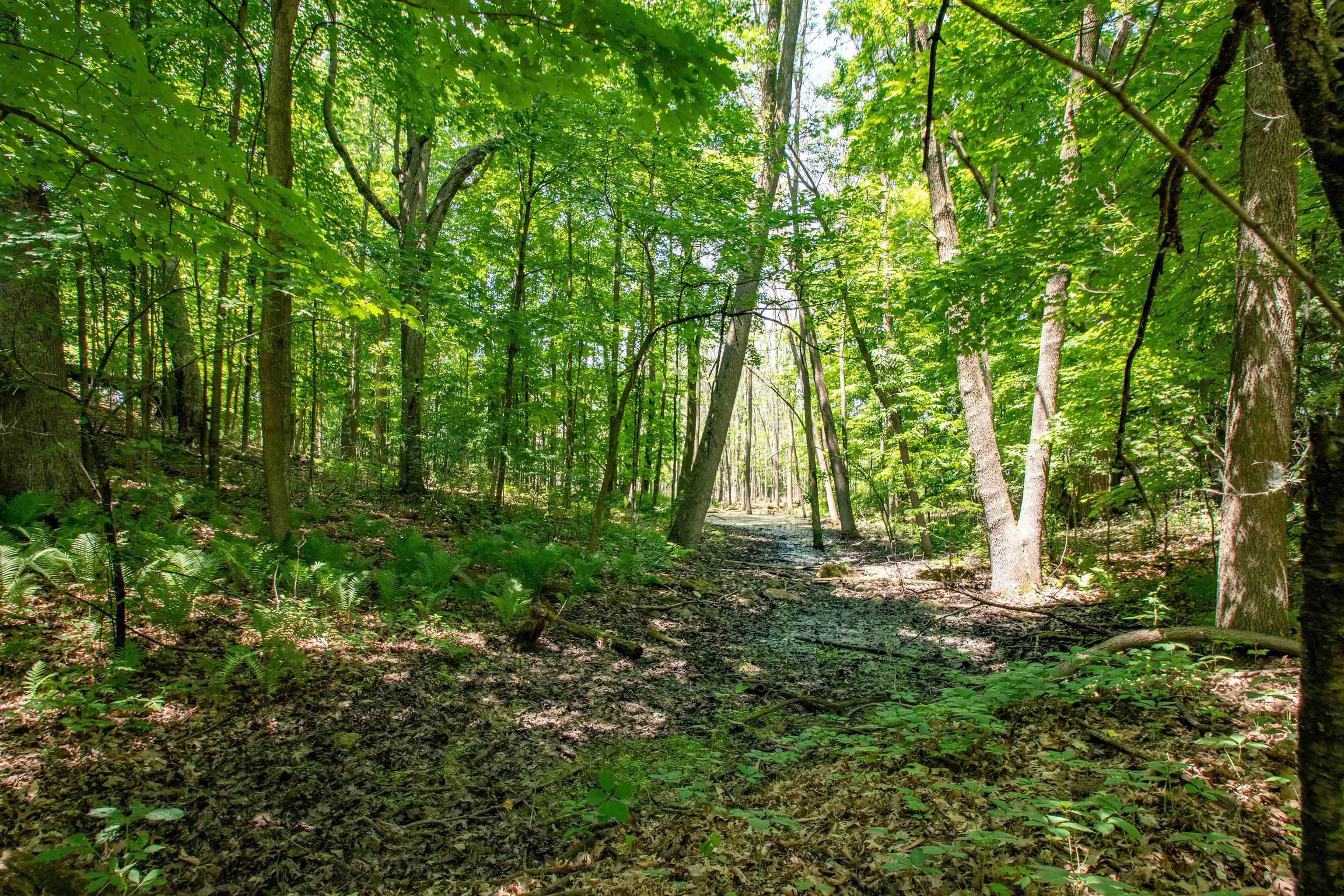 Hager Rd, Denmark, WI 54208