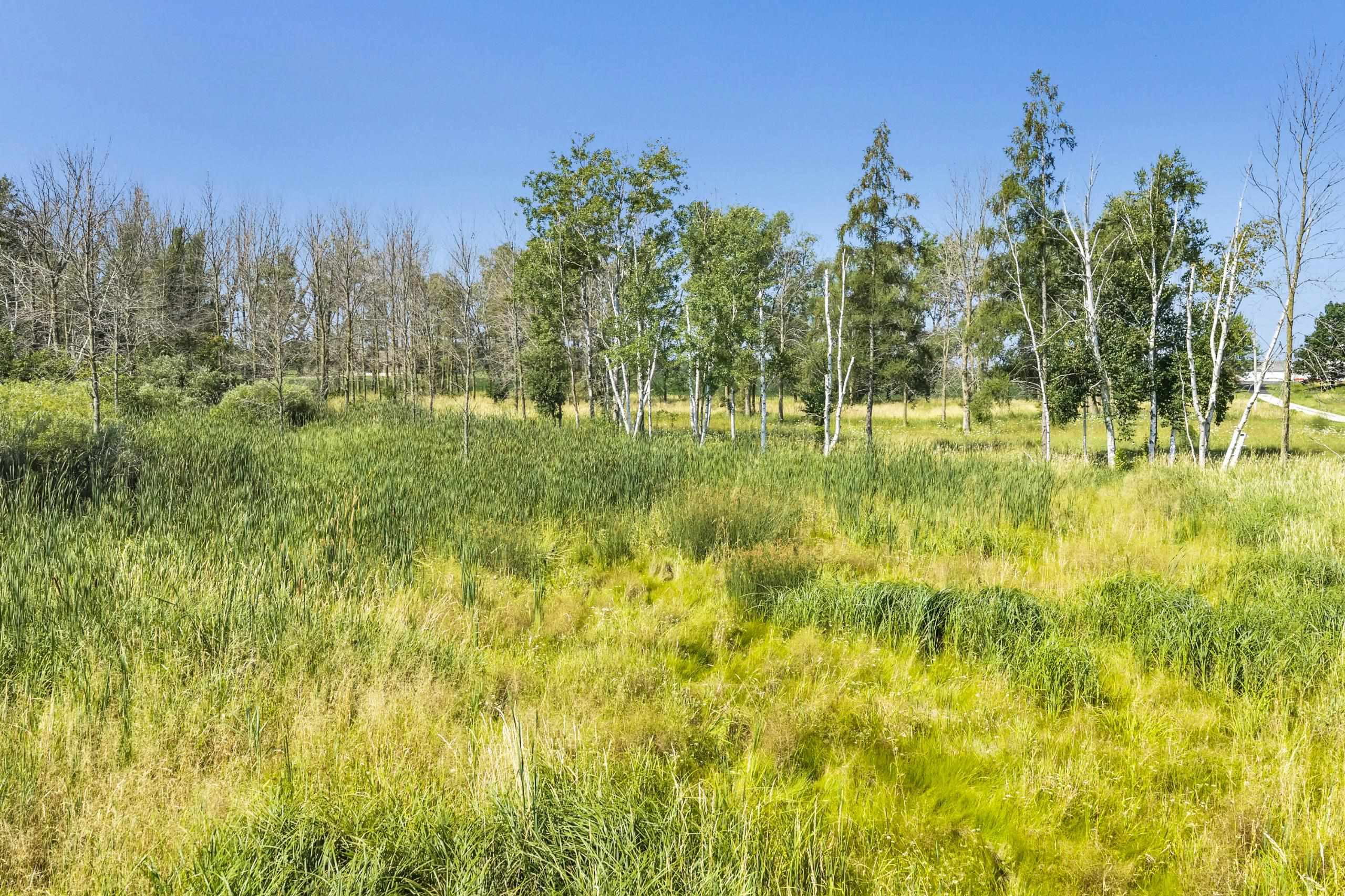 Phillips Rd, Green Bay, WI 54311