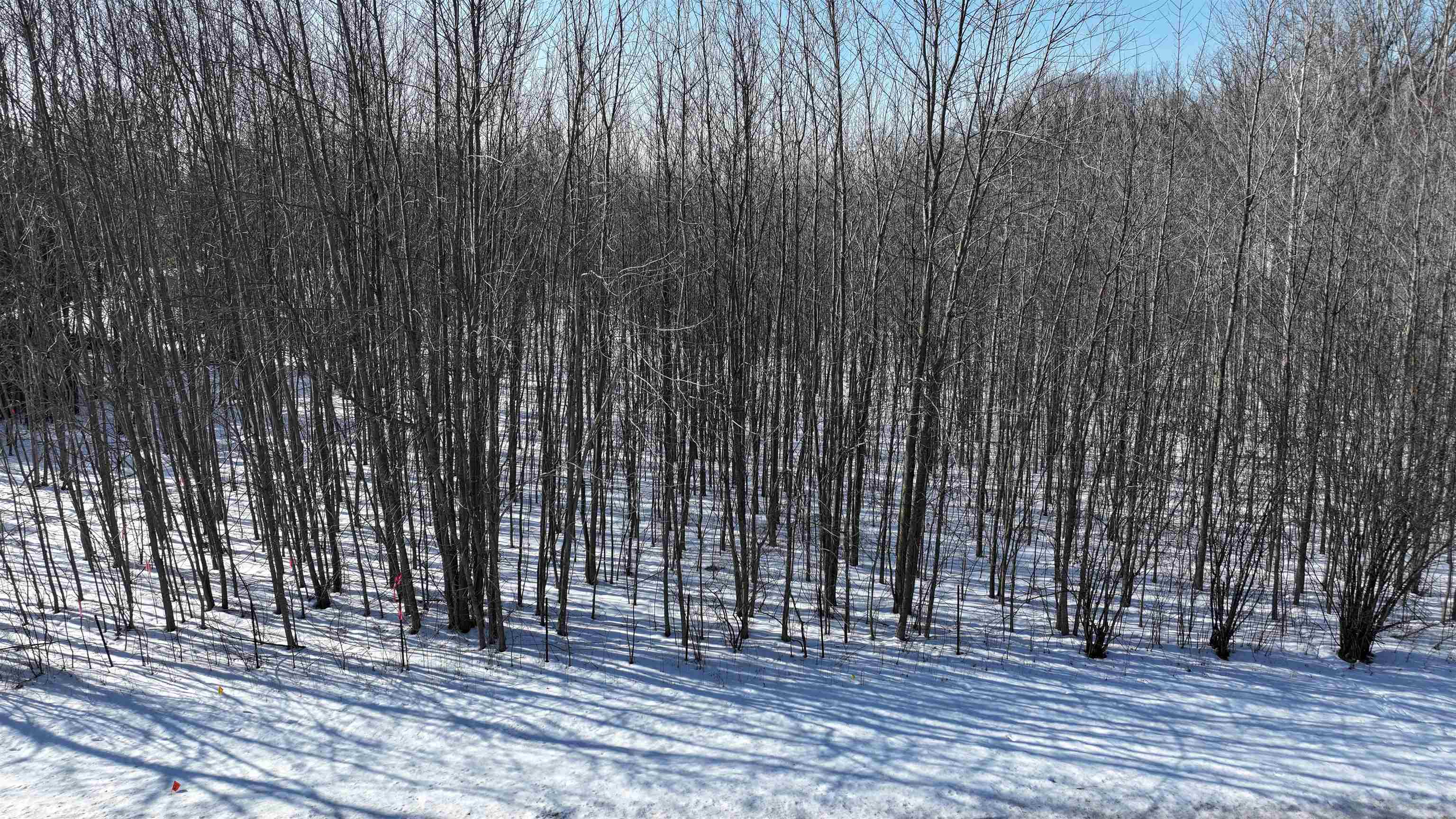 Emery Ln, Kaukauna, WI 54130
