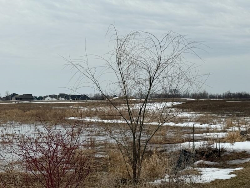 5975 N Meade St, Appleton, WI 54913-7809