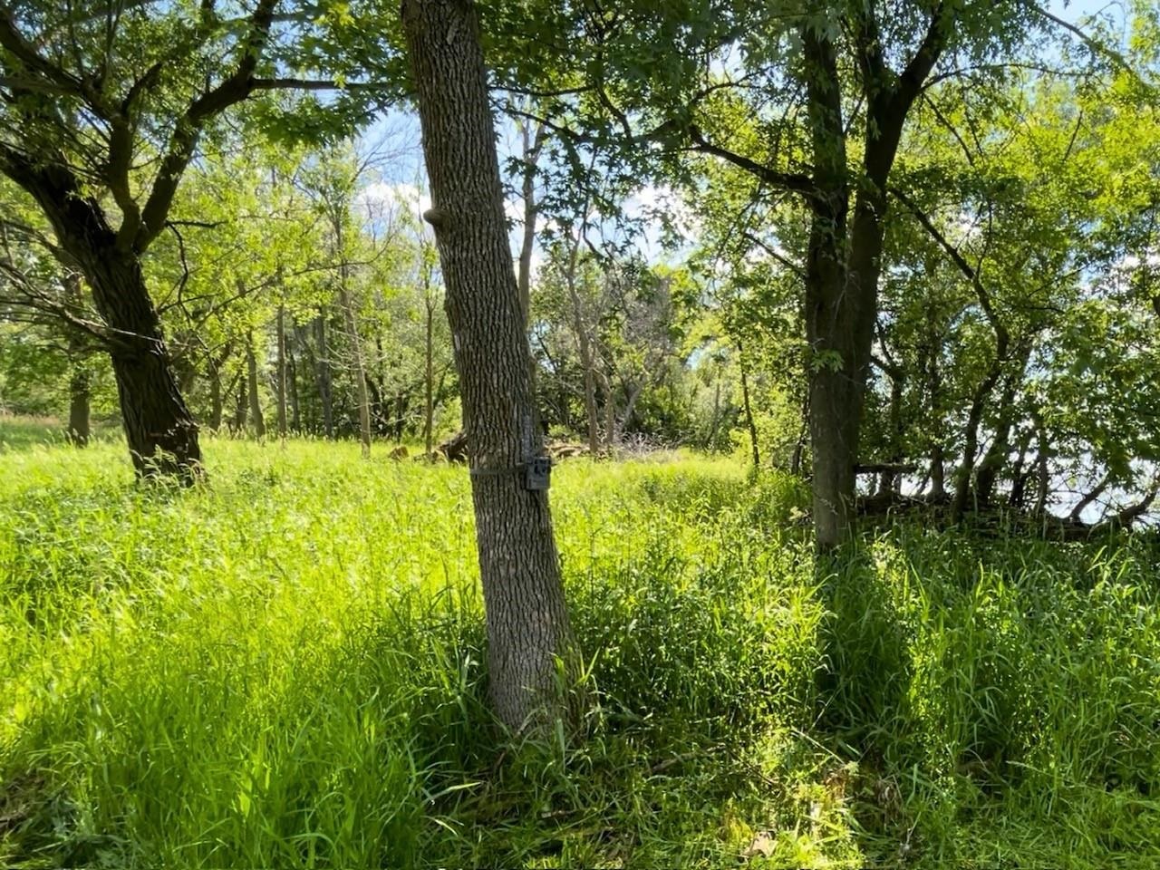 County Rd B #2, Winneconne, WI 54986