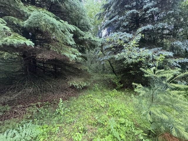 Elmwood Rd, Green Bay, WI 54313