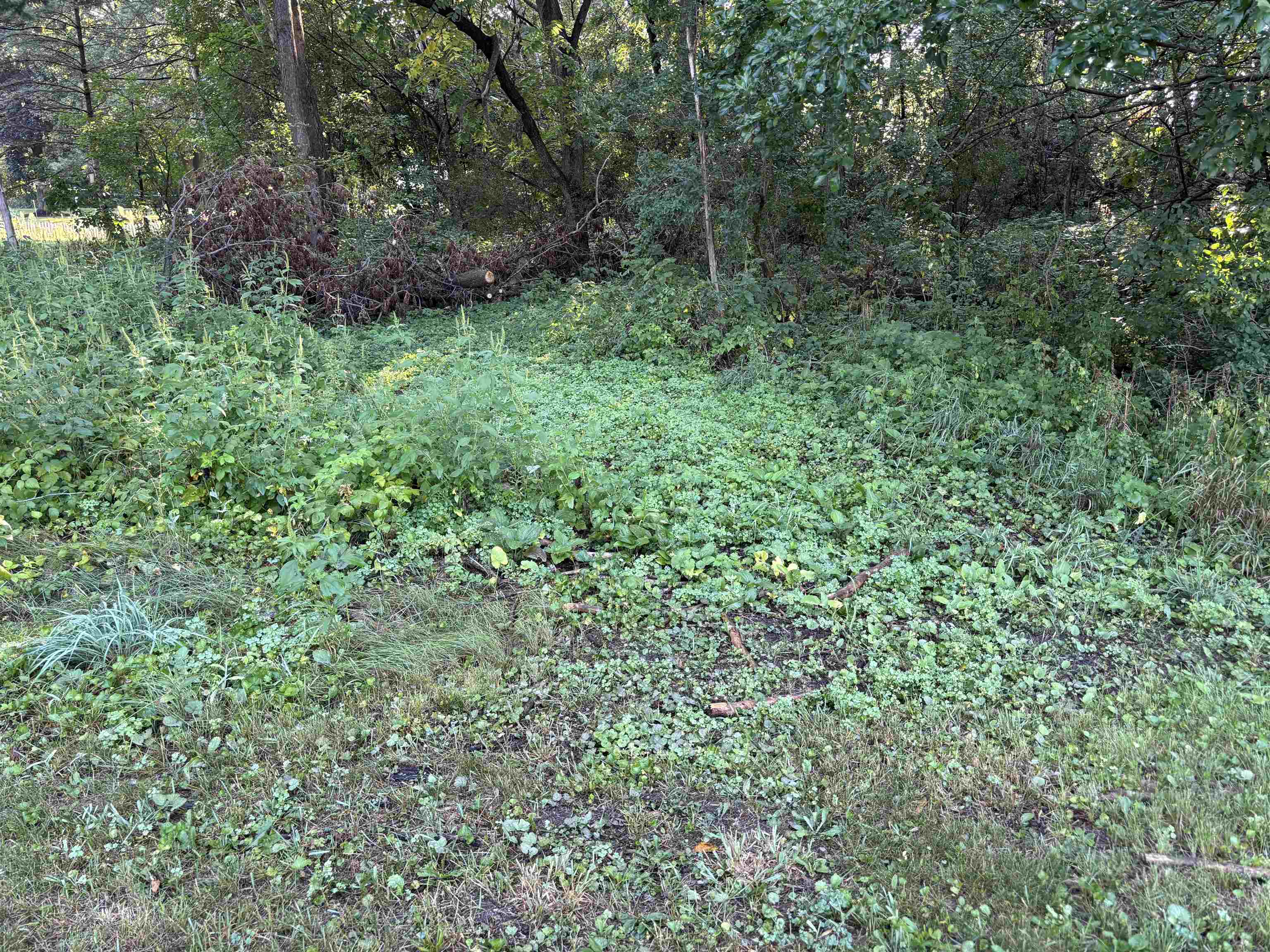 8772 County Rd K, Omro, WI 54963