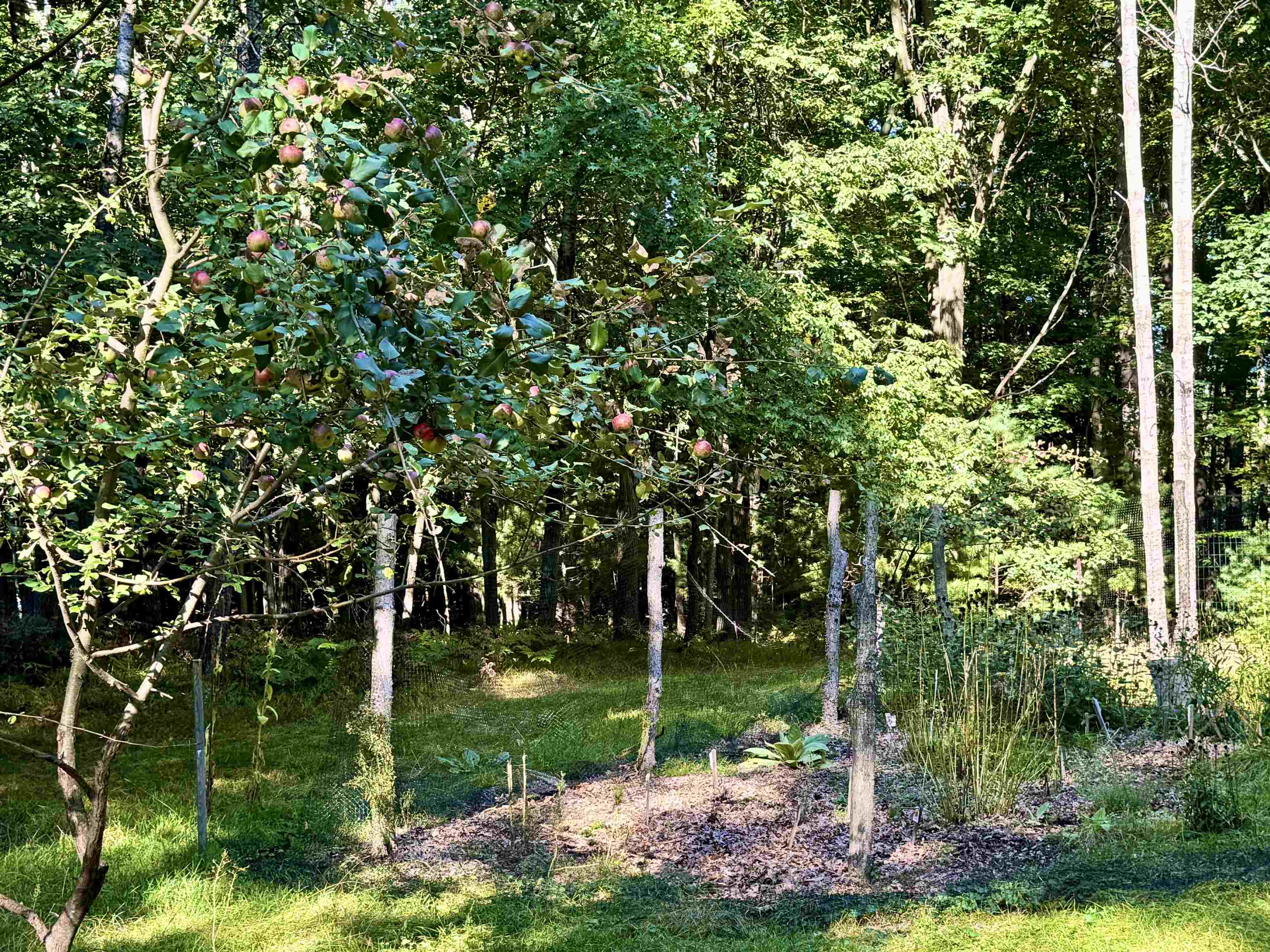 Maplewood Ln, Sobieski, WI 54171-9999