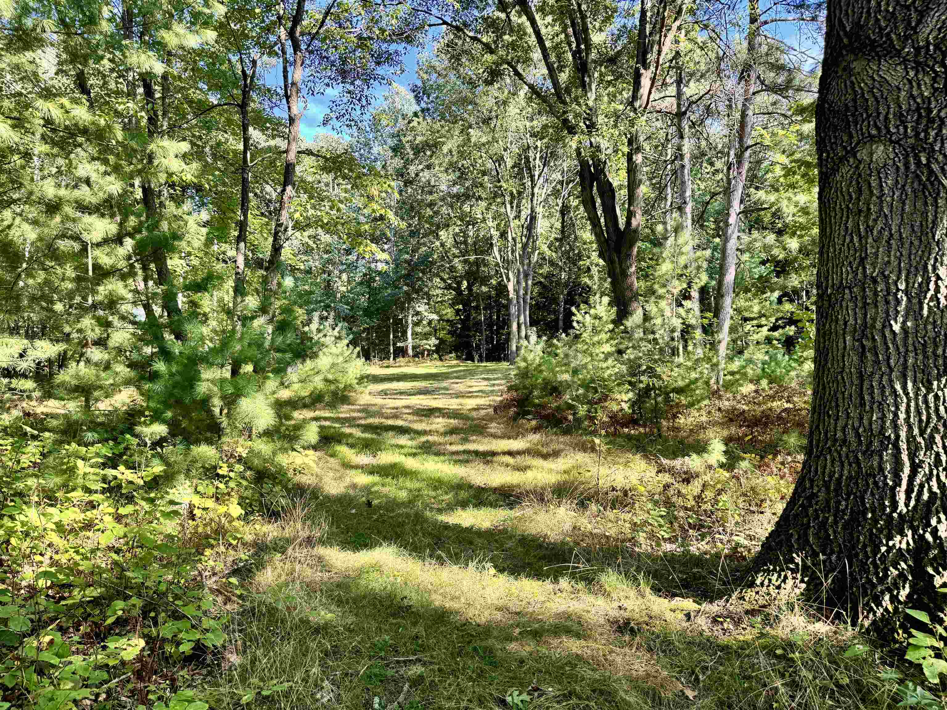 Maplewood Ln, Sobieski, WI 54171-9999