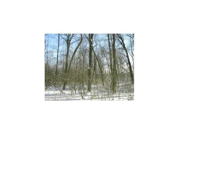 Pine Ridge Trl #12, Abrams, WI 54101