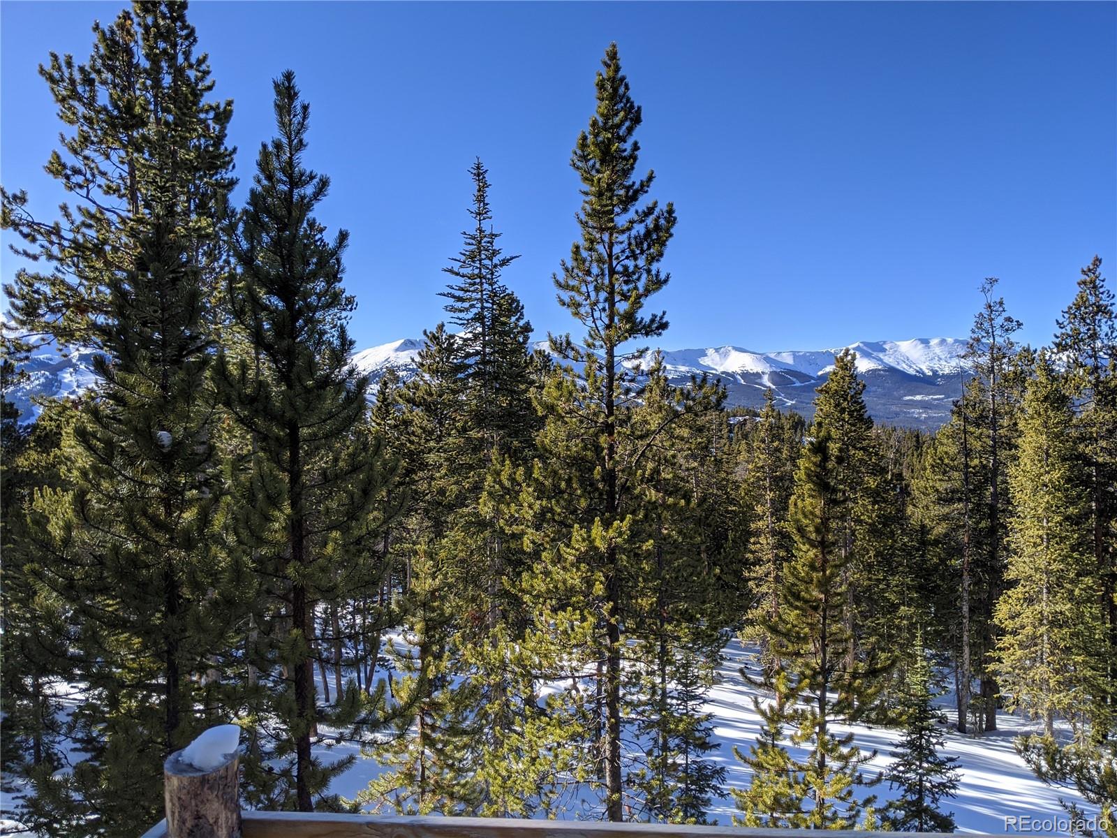 0190 Berlin Placer Rd Lot 2, Breckenridge, CO 80424