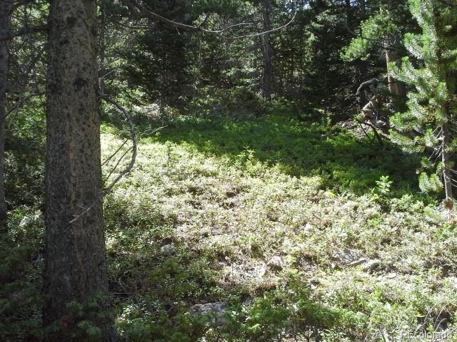 Hillside Rd Lot 429, Idaho Springs, CO 80436