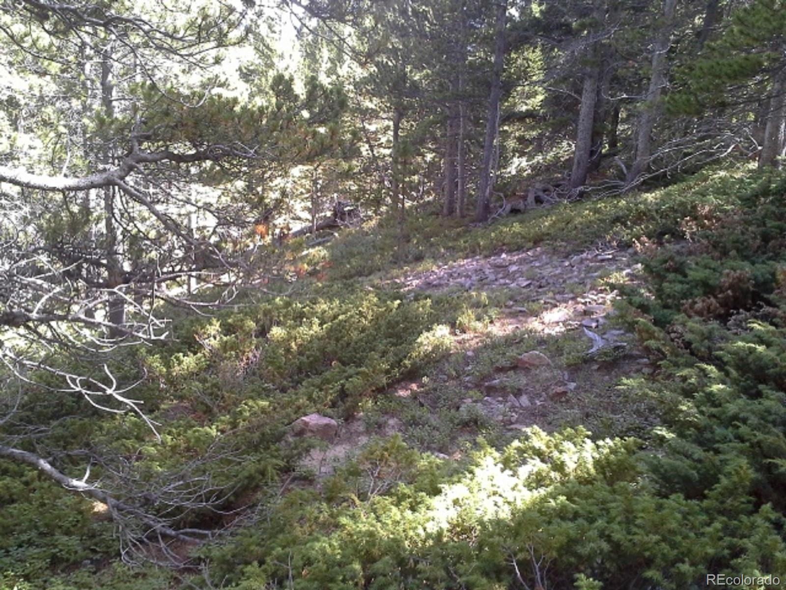 Hillside Rd Lot 429, Idaho Springs, CO 80436