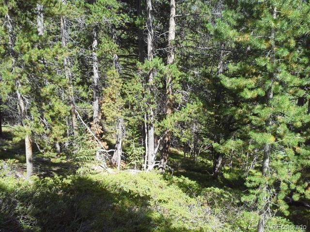 Hillside Rd Lot 429, Idaho Springs, CO 80436