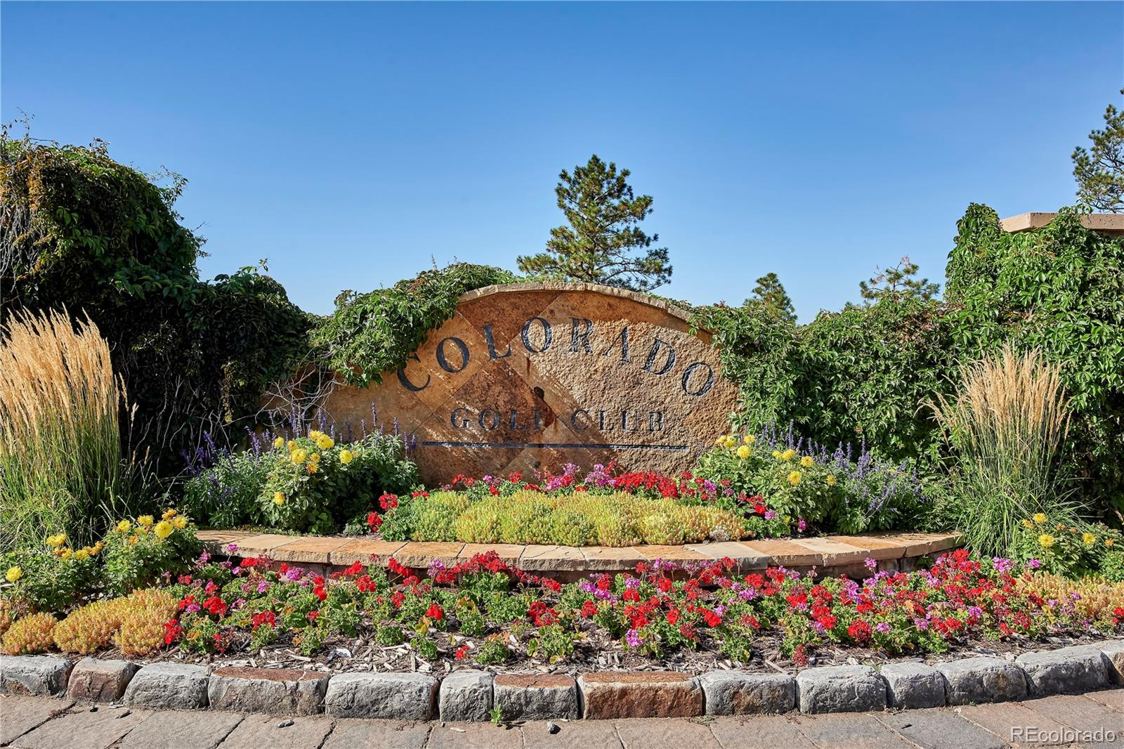8541 Catena Ct, Parker, CO 80134