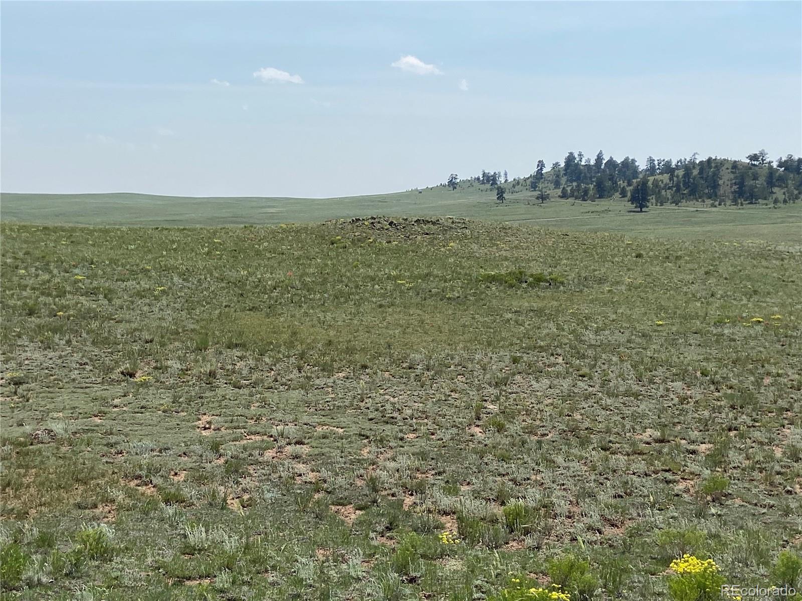 1166 Chicha Rd, Hartsel, CO 80449